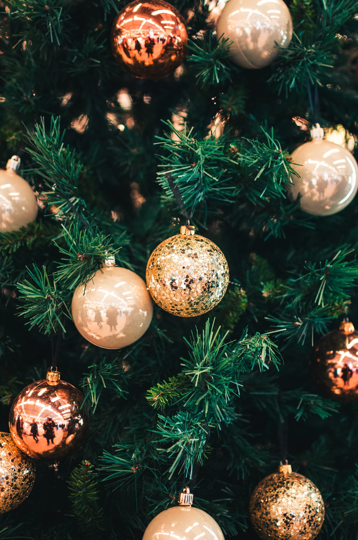 Christmas 2