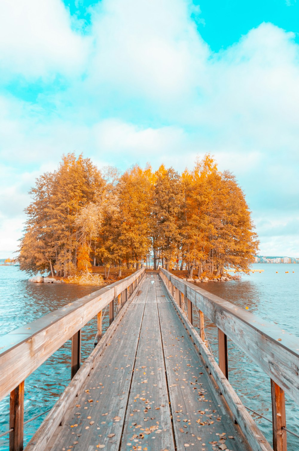 Pontile di legno marrone vicino allo specchio d'acqua durante il giorno