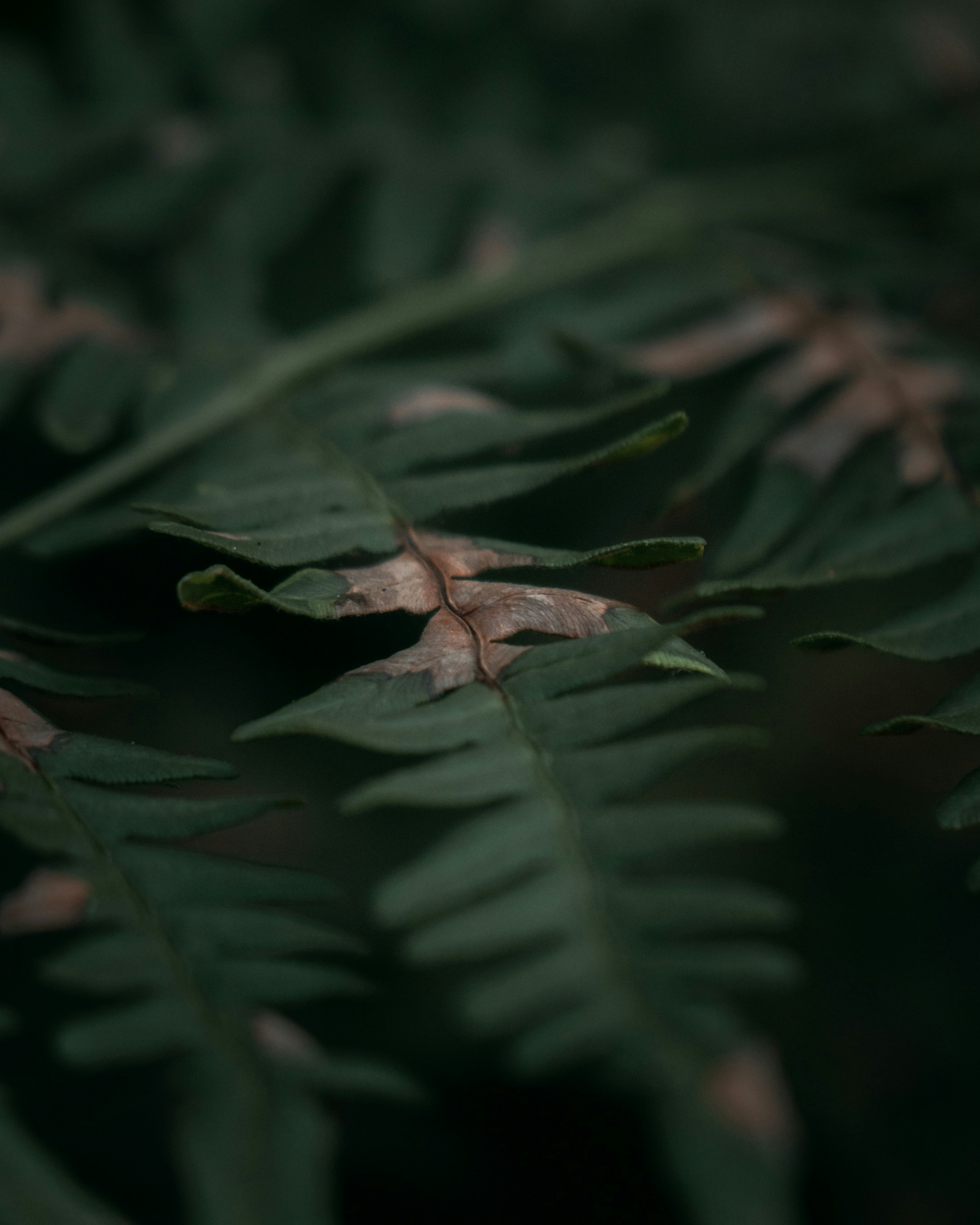 Photo by kirillpershin