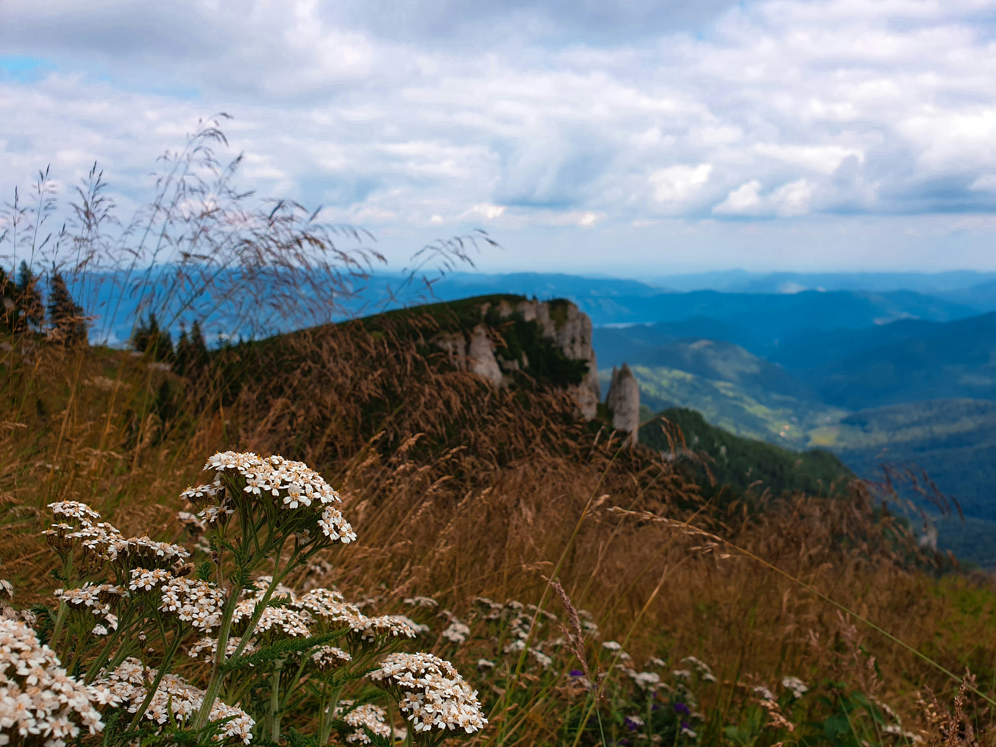 Photo by nasteagangal