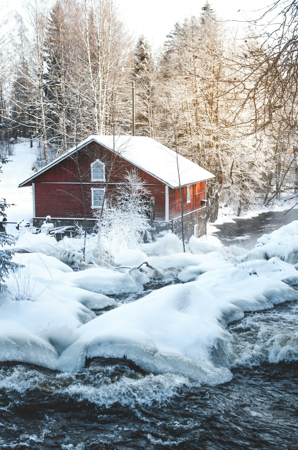 Braunes Holzhaus tagsüber mit Schnee in der Nähe von Bäumen bedeckt