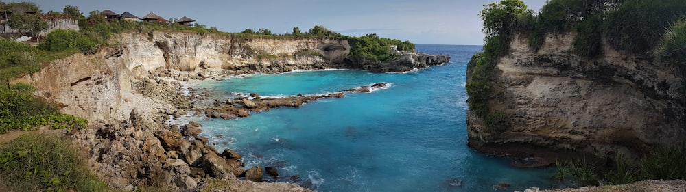 brown and green trees beside blue sea under blue sky during daytime