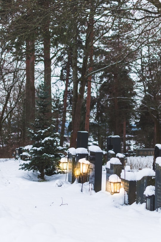 brown wooden chairs on snow covered ground in Lahti Finland