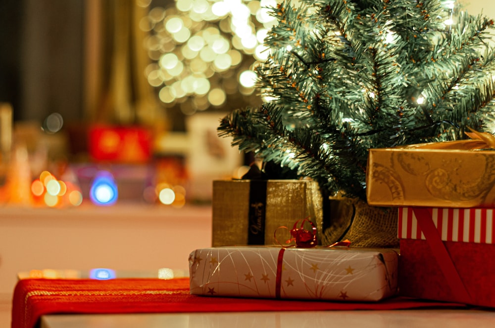 brown cardboard box beside green christmas tree