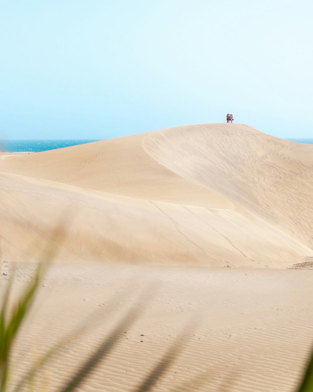 person standing on brown sand near body of water during daytime