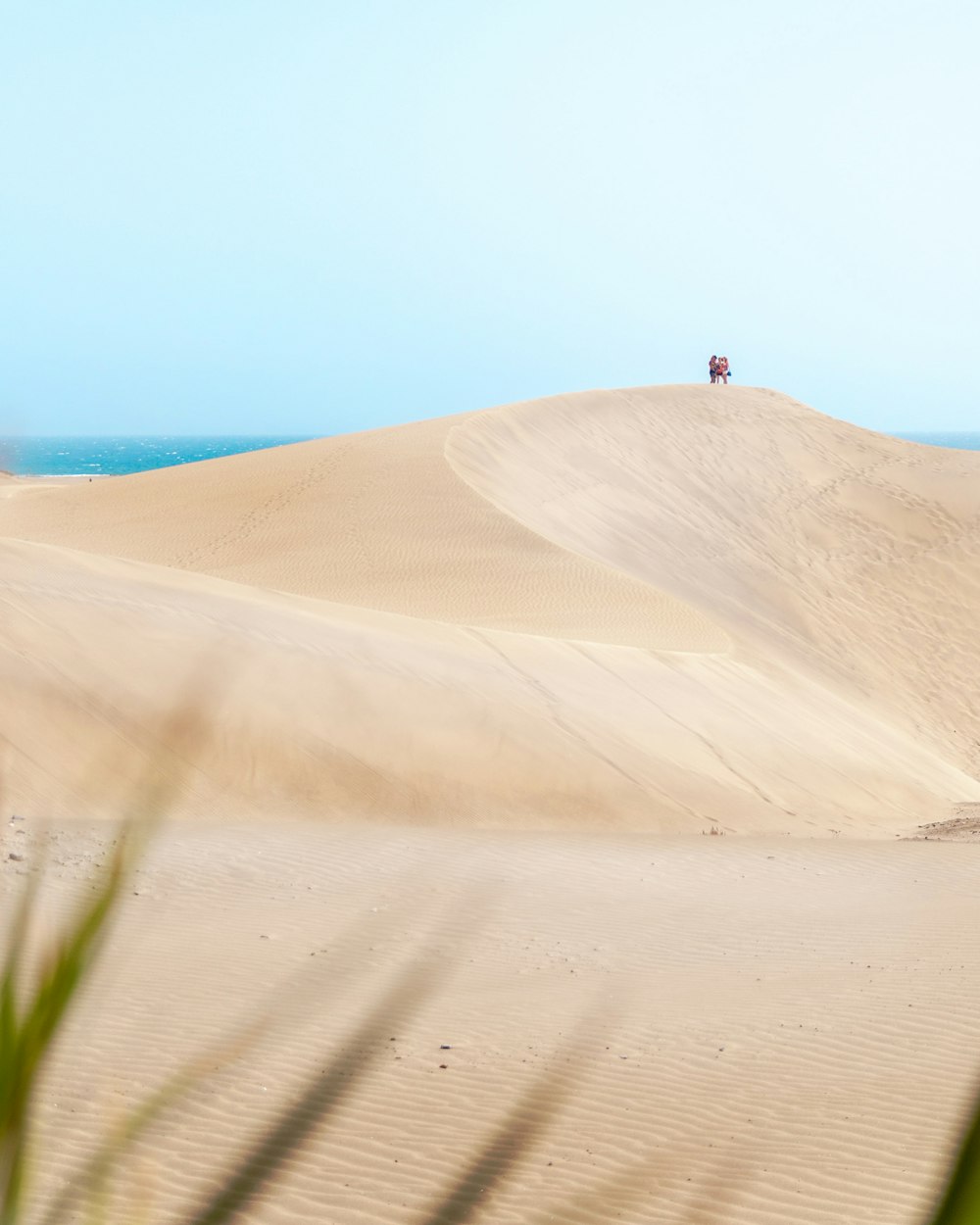 낮에 수역 근처의 갈색 모래 위에 서있는 사람