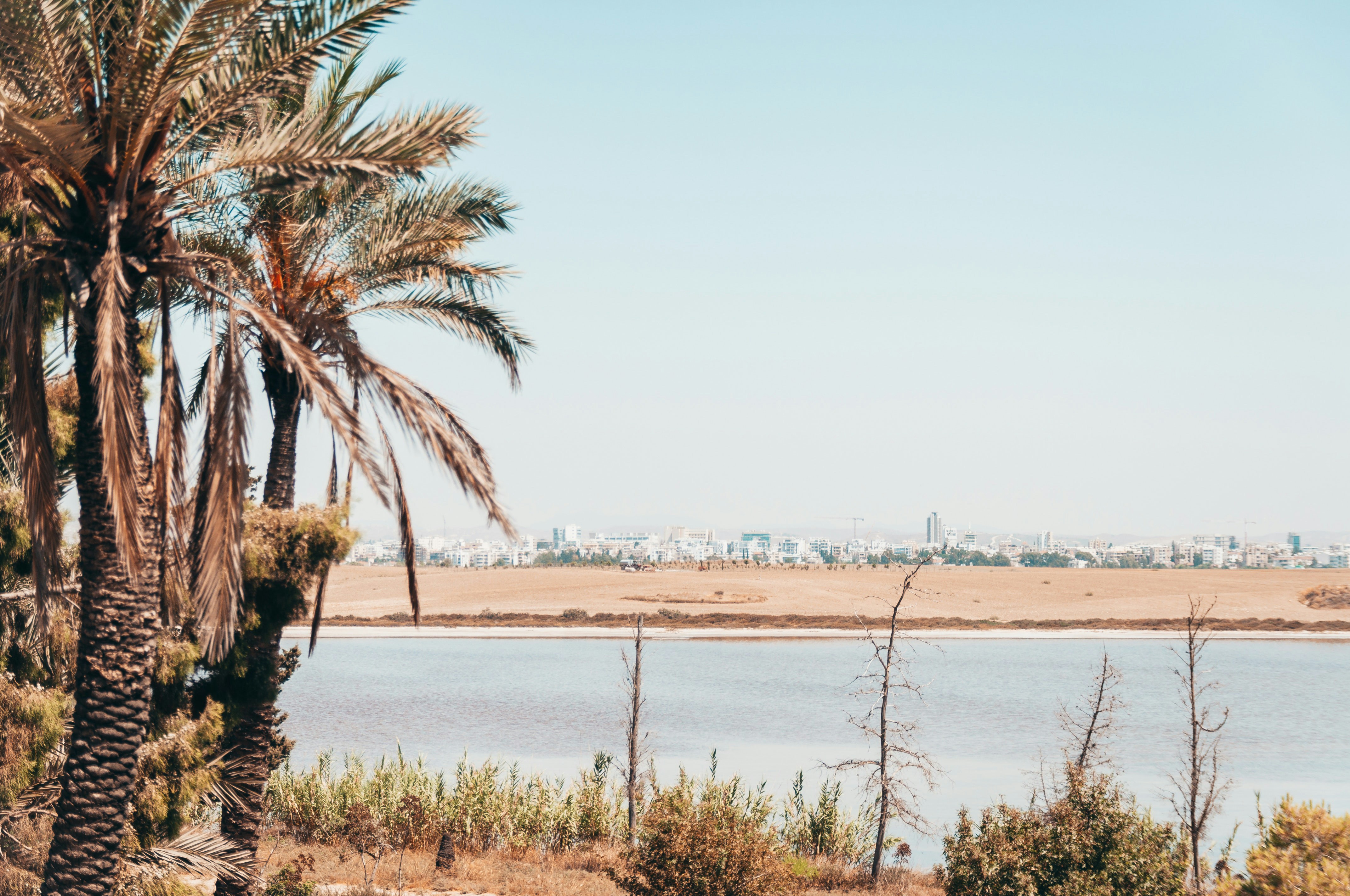 Photo by hertwashere