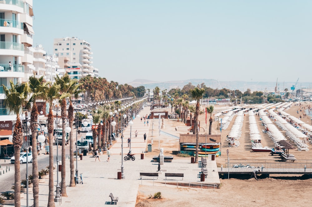 people on beach during daytime