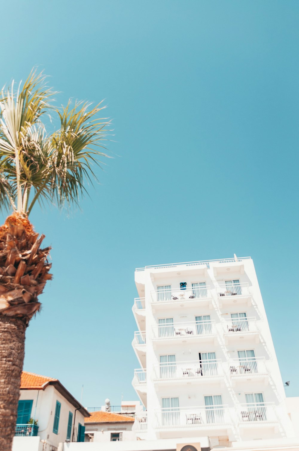 green palm tree near white concrete building during daytime