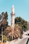 green palm tree near white concrete tower