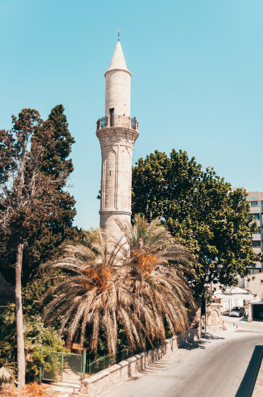 green palm tree near white concrete tower