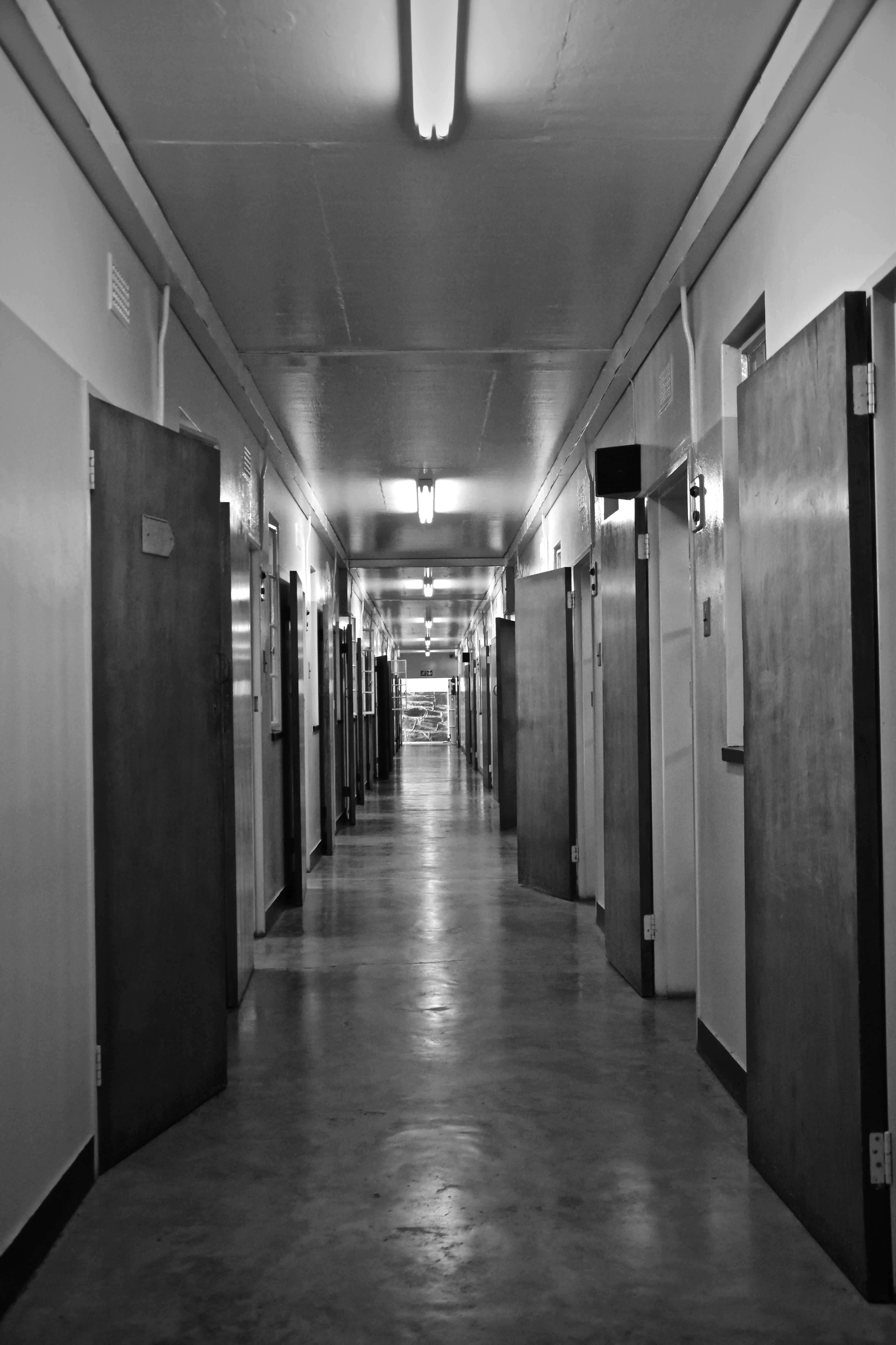 Photo by sebastiangraserphotography