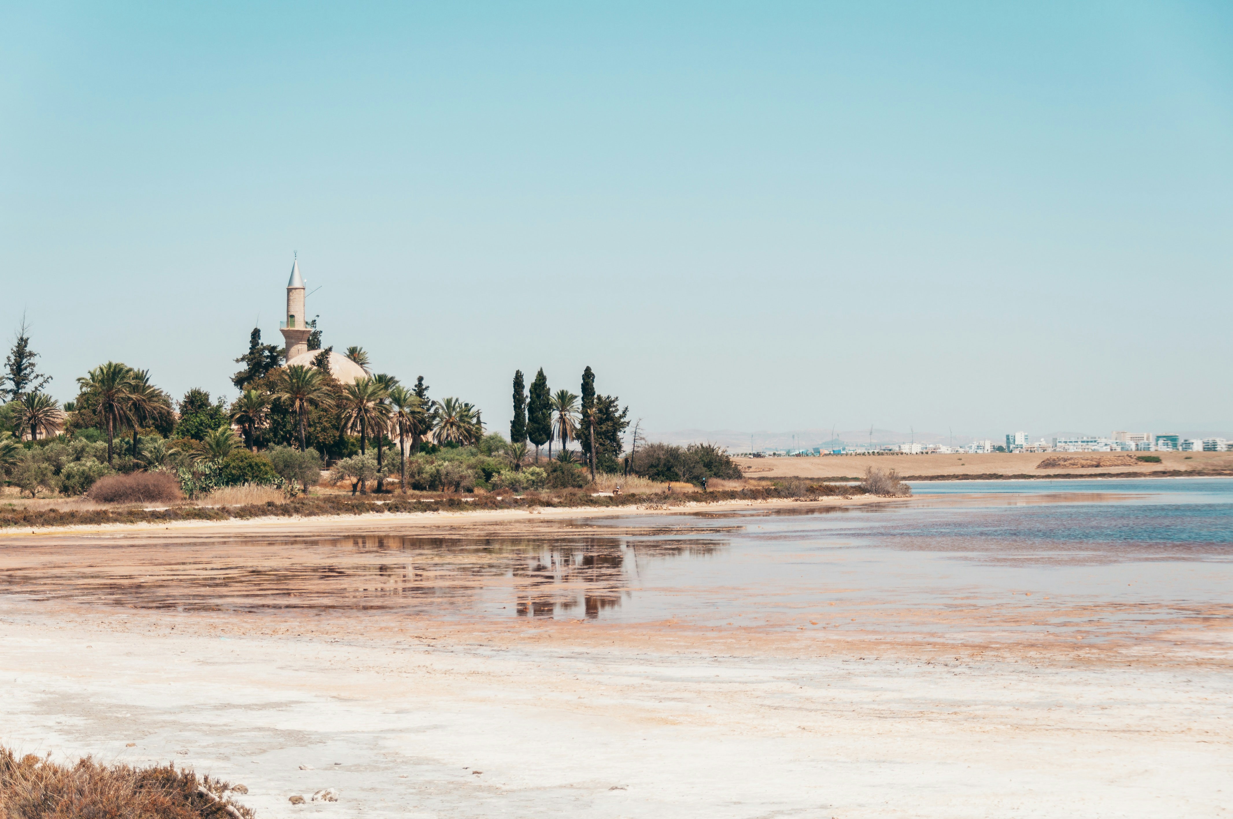 Photo by hertwashere