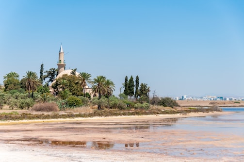 A serene landscape with a mosque in the background.