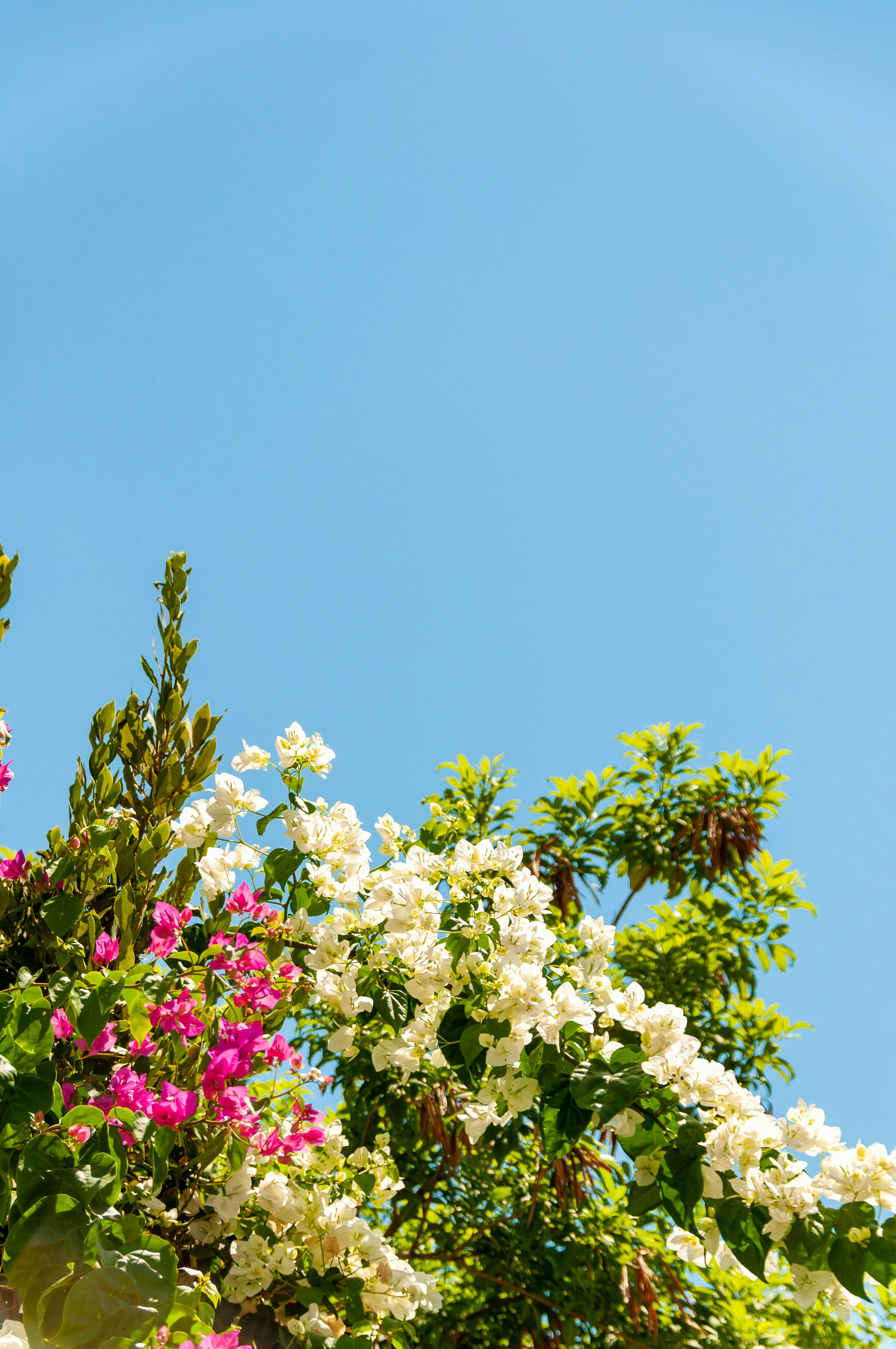 Photo by hertwashere