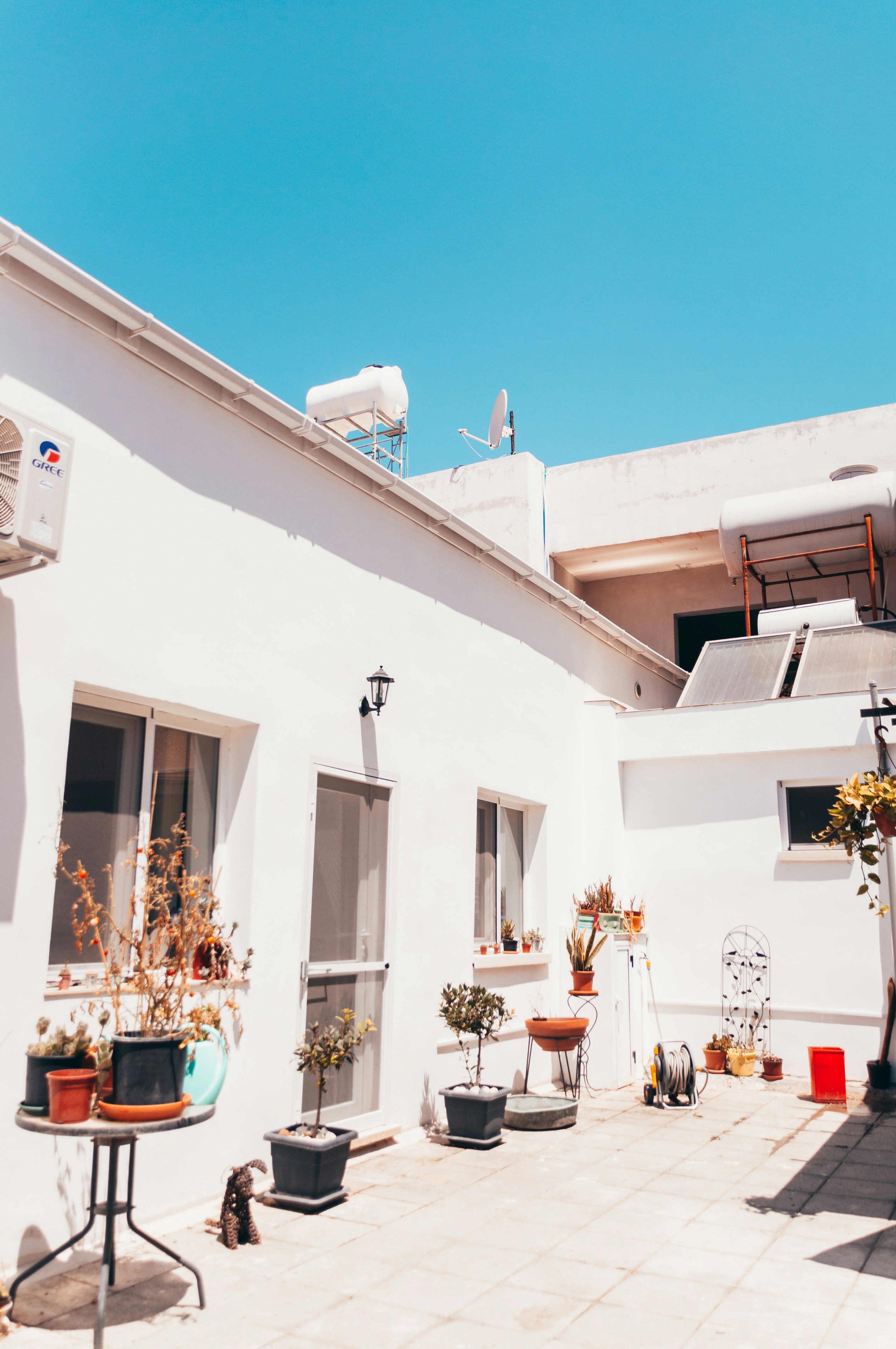 Photo by hertwashere