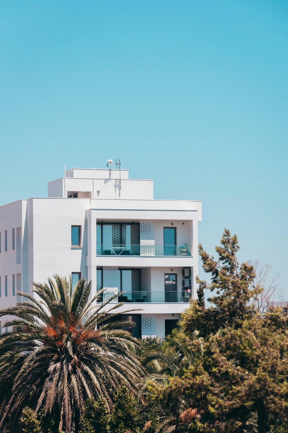 white concrete building near green palm tree under blue sky during daytime