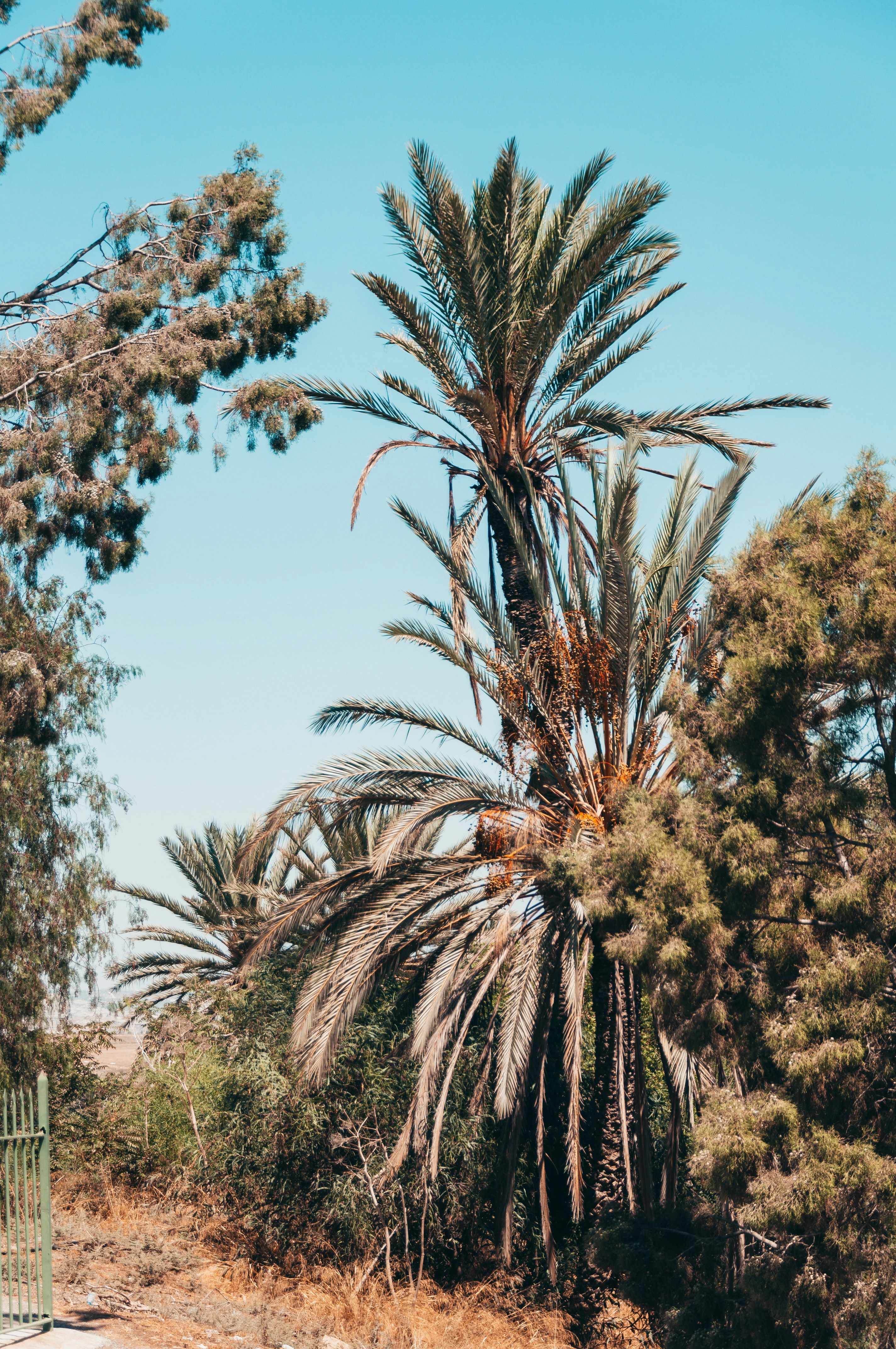 Photo by hertwashere