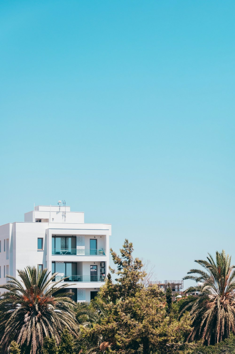 white concrete building near palm trees during daytime