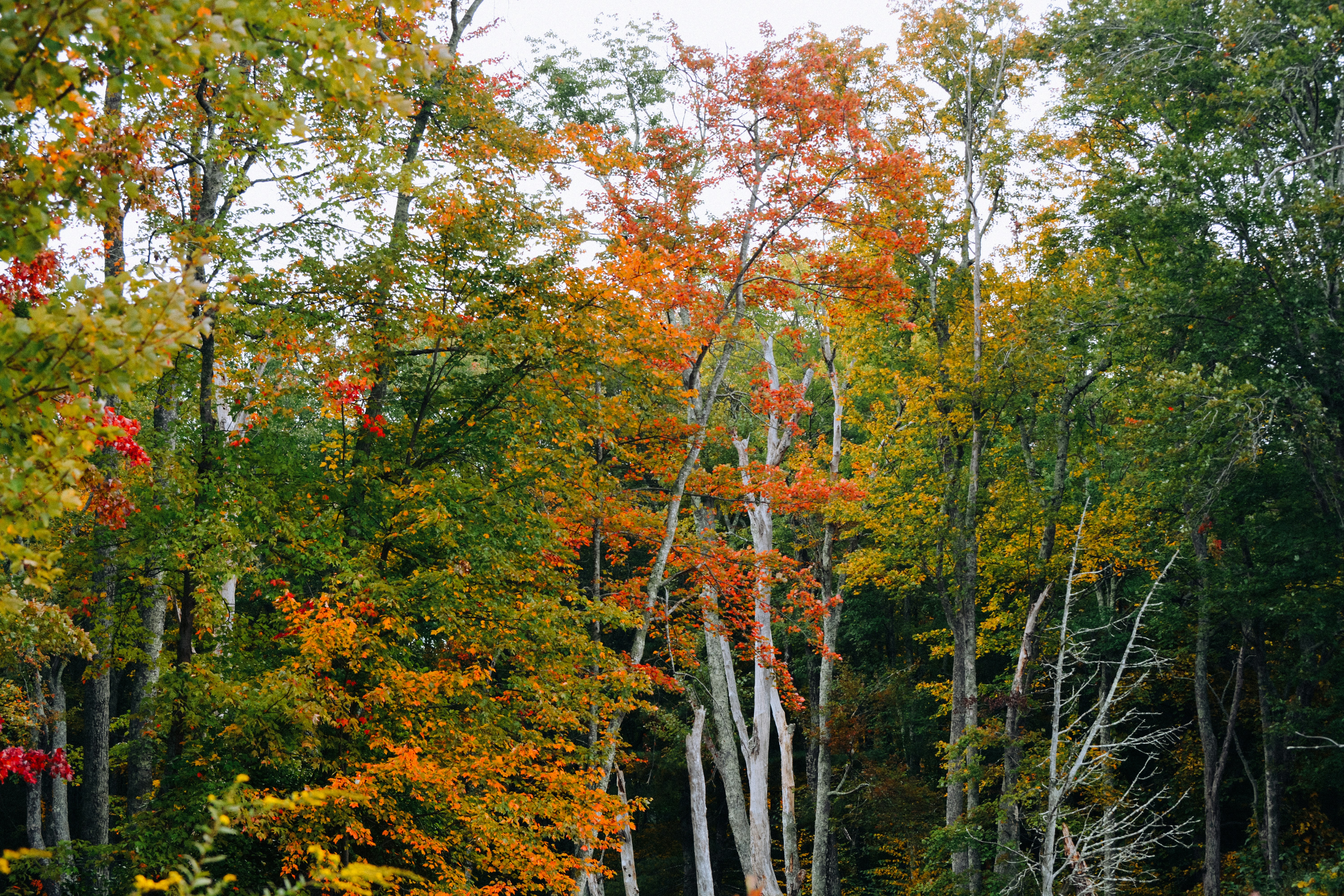 Photo by sallybrad2016