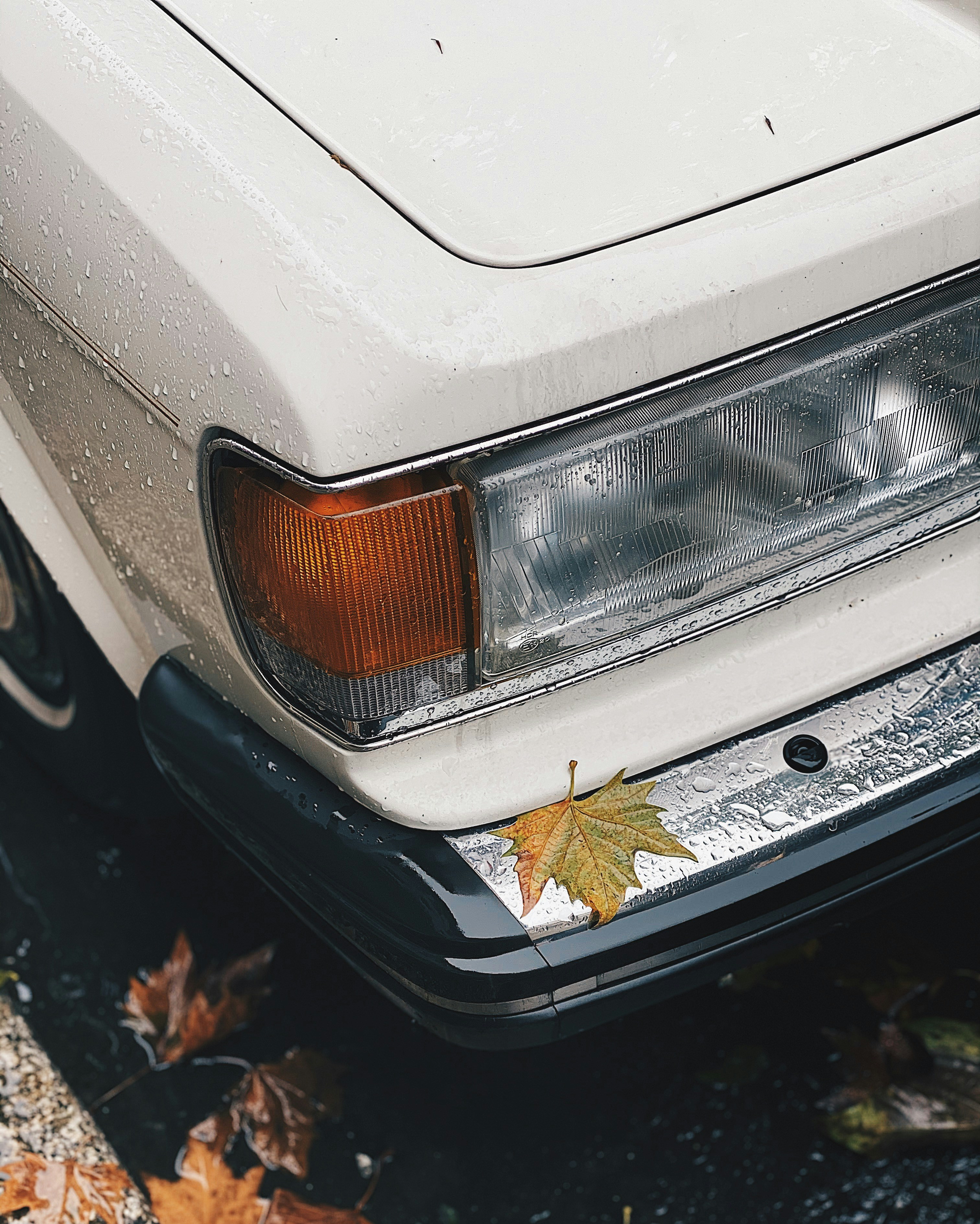 Photo by francescagrima