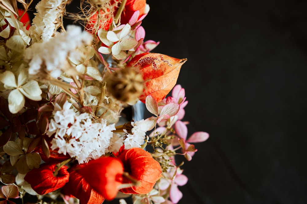 flores vermelhas e brancas com folhas verdes