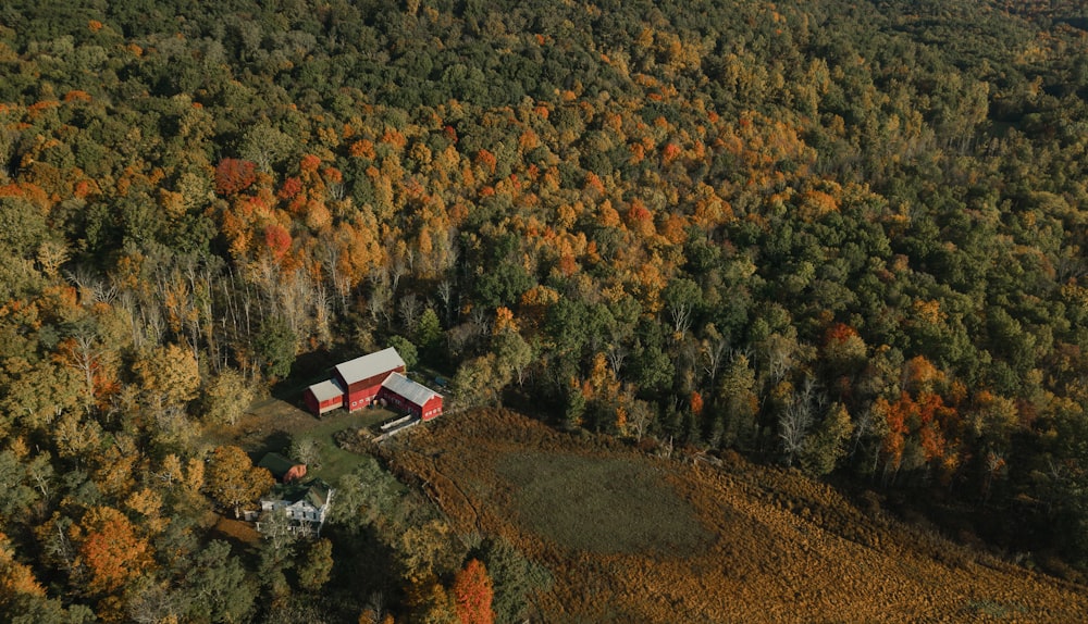 red and white house surrounded by trees during daytime