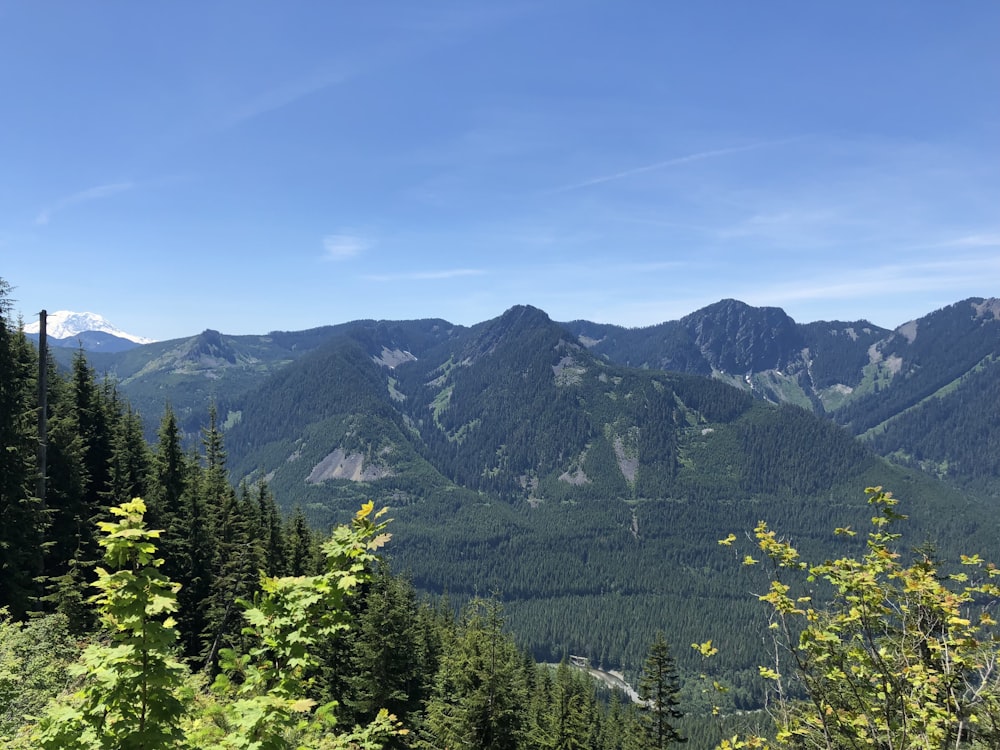 昼間の青空の下、山の近くの緑の木々