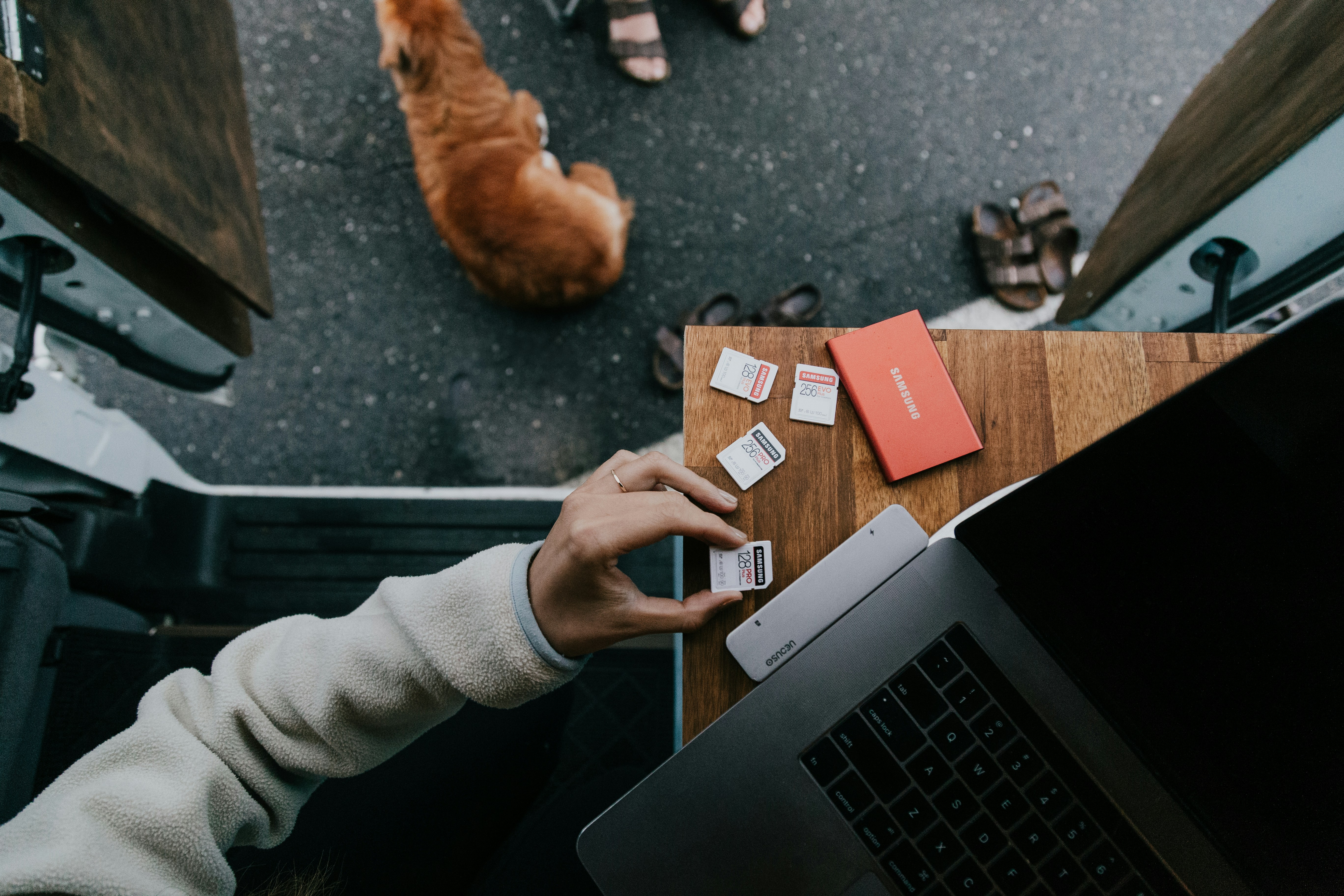 Loyalty Isn't Always a Virtue: How to Know When a Rewards Program Has Outlived Its Welcome