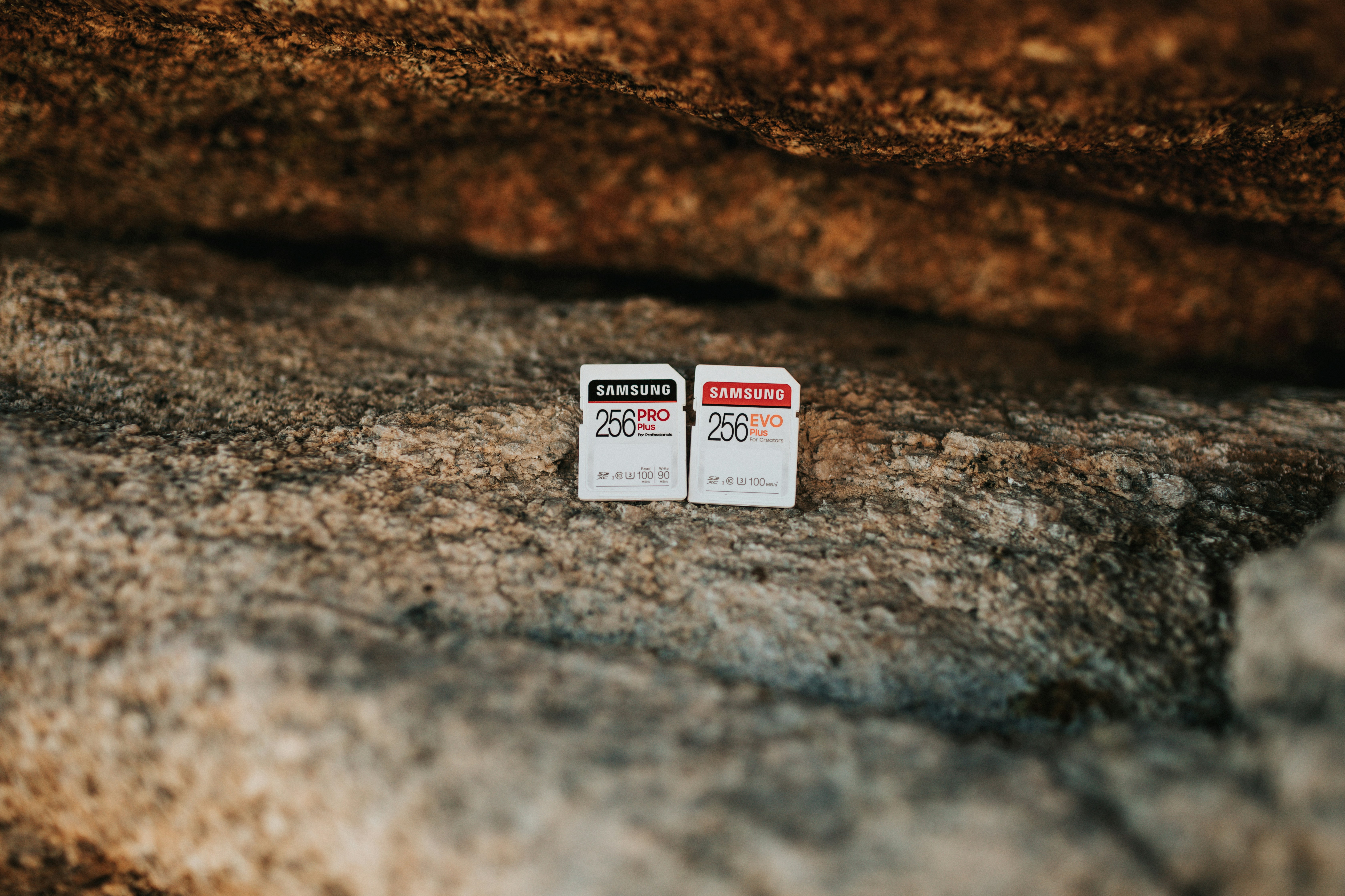 Photo by samsungmemory