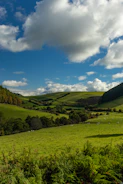 Lush green dairy farms and rolling hills in New Zealand under a clear sky.