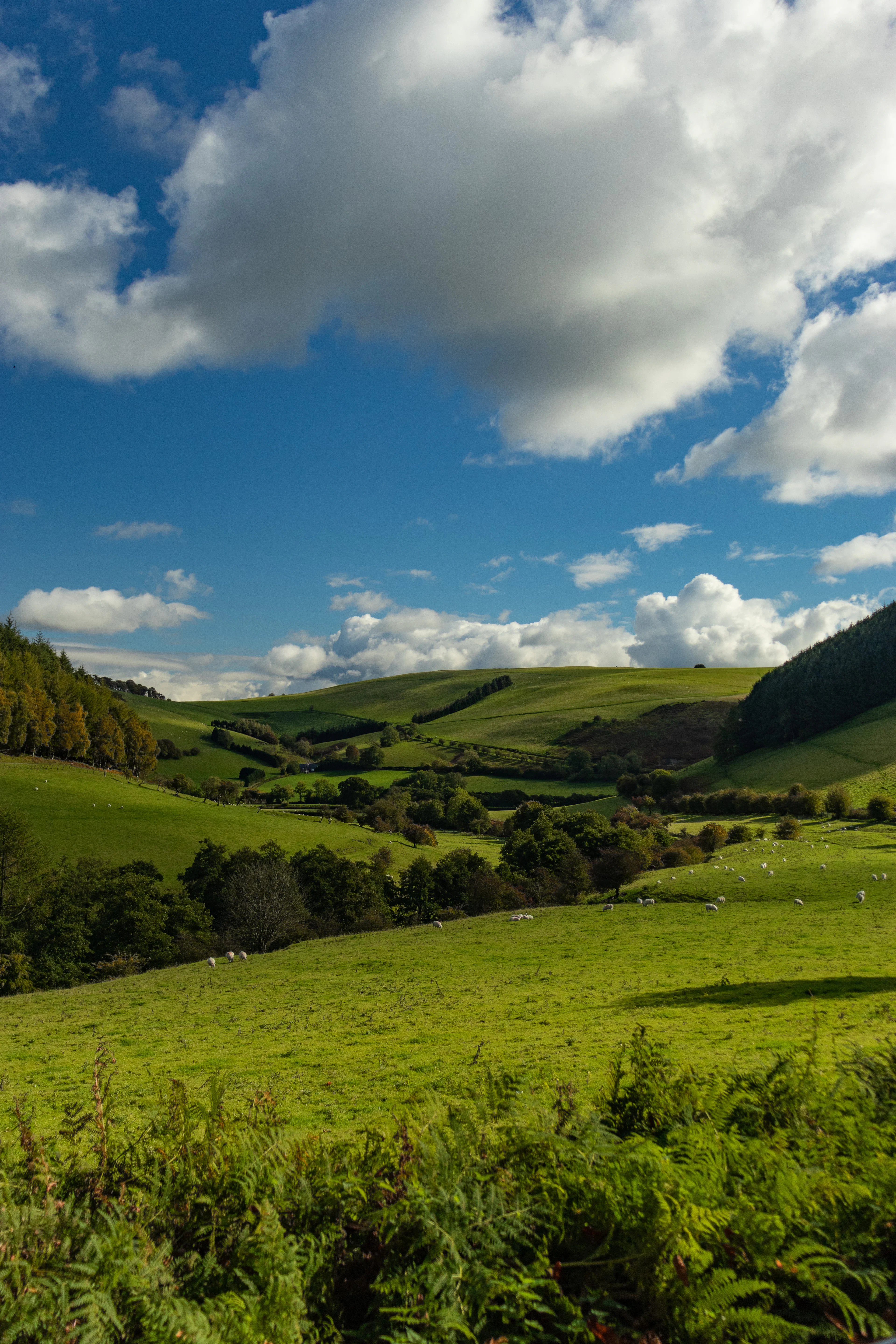 Green hillside land under a cloudy sky
