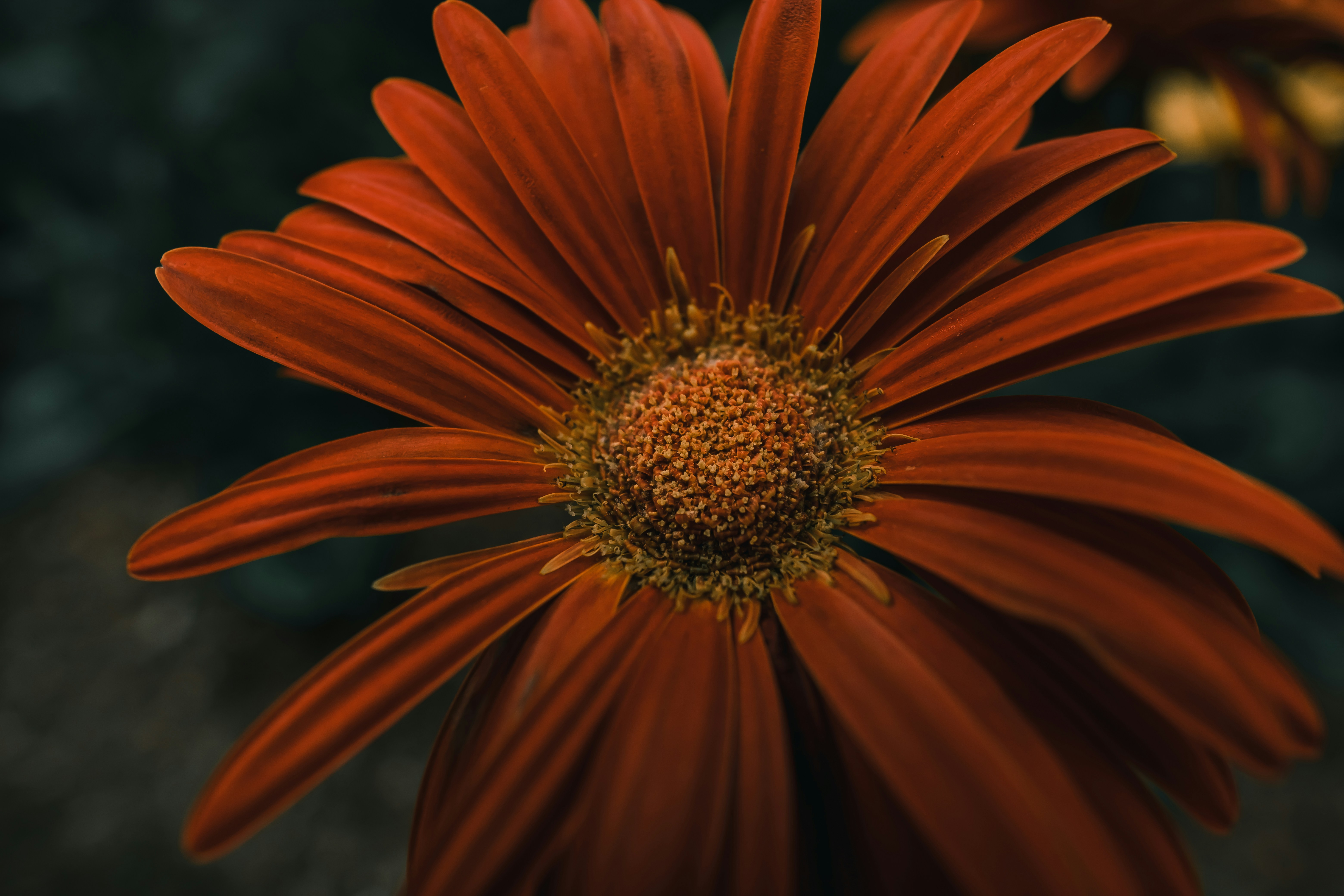 Photo by jackjackhan