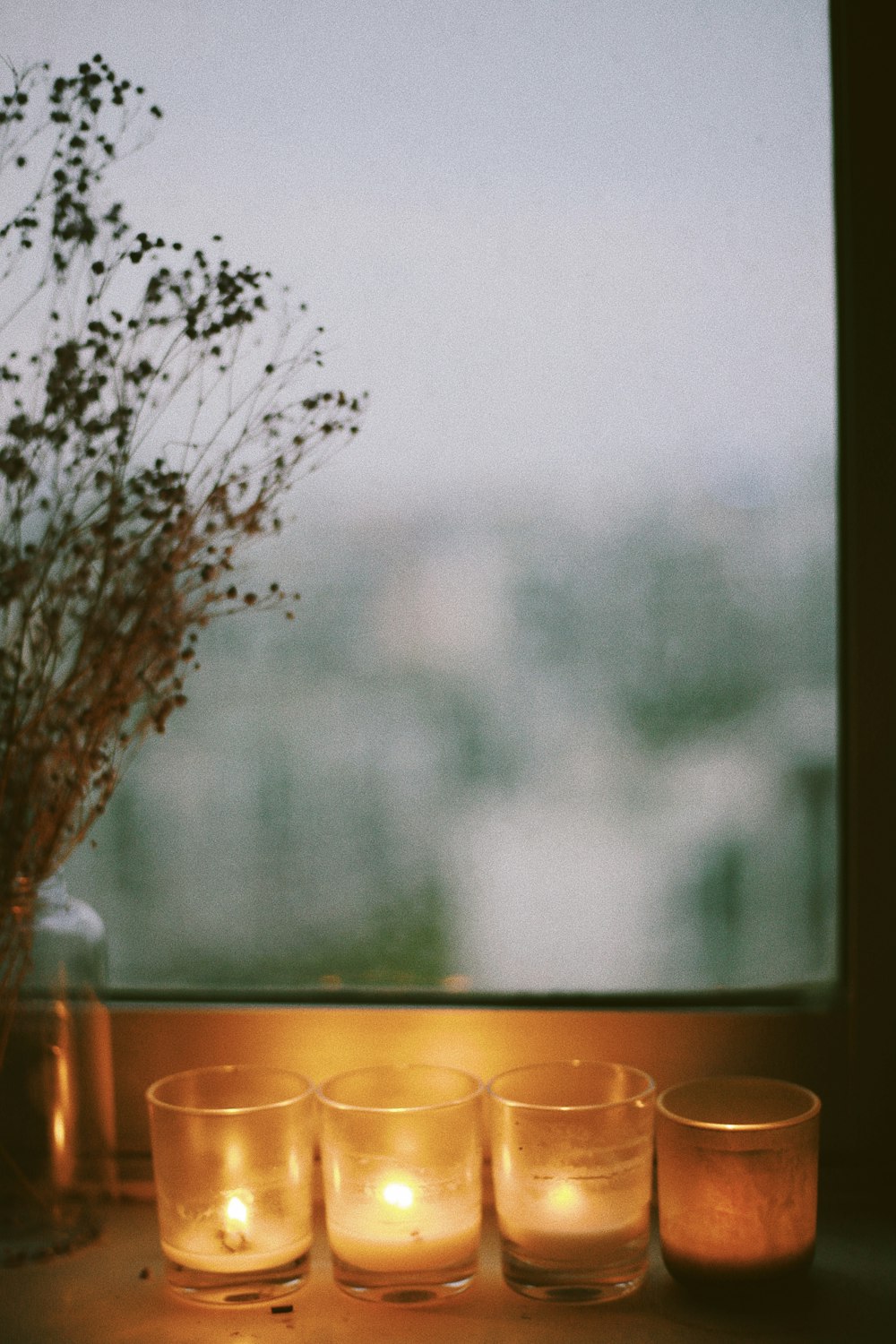 brown tree in front of window