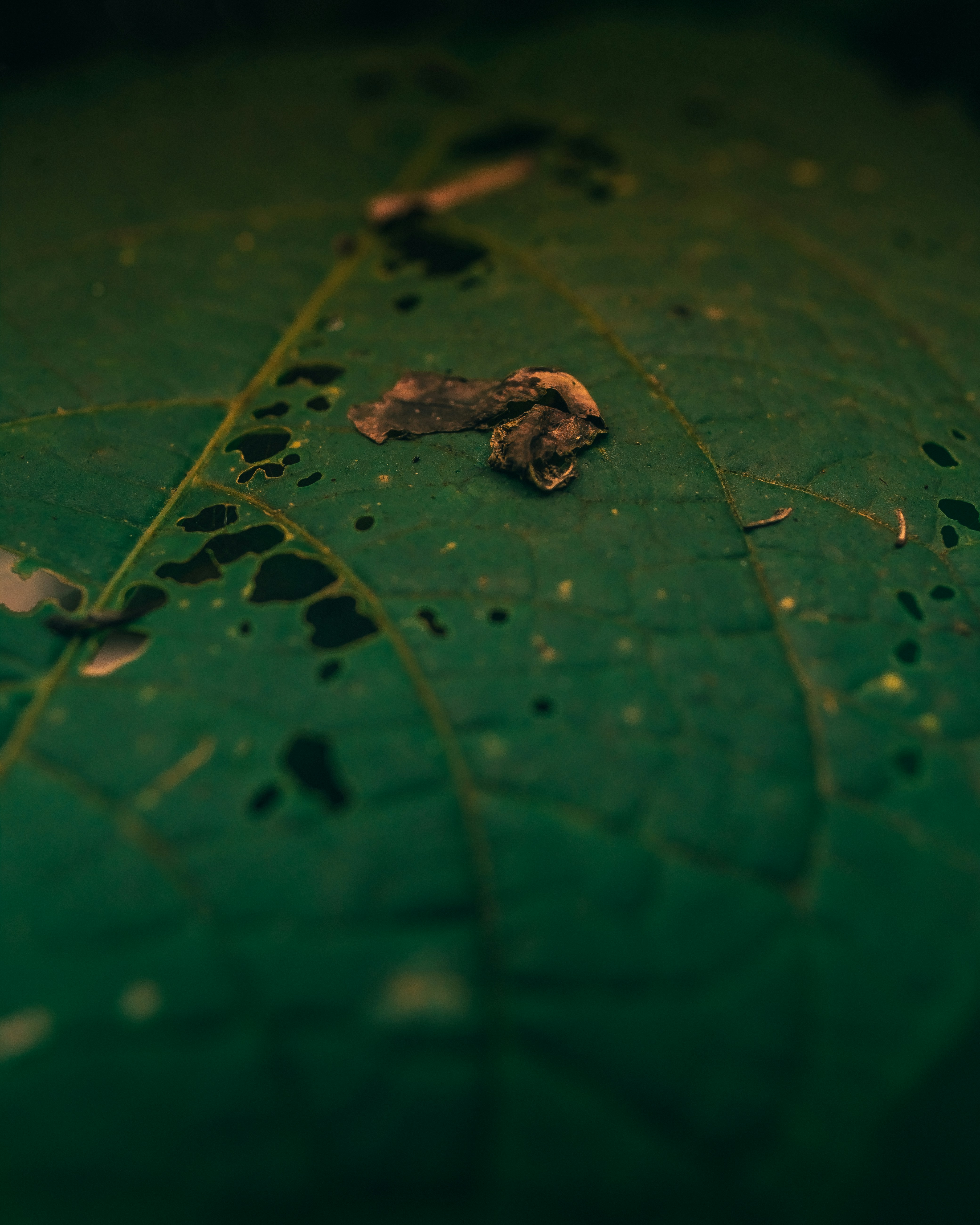 Photo by jackjackhan