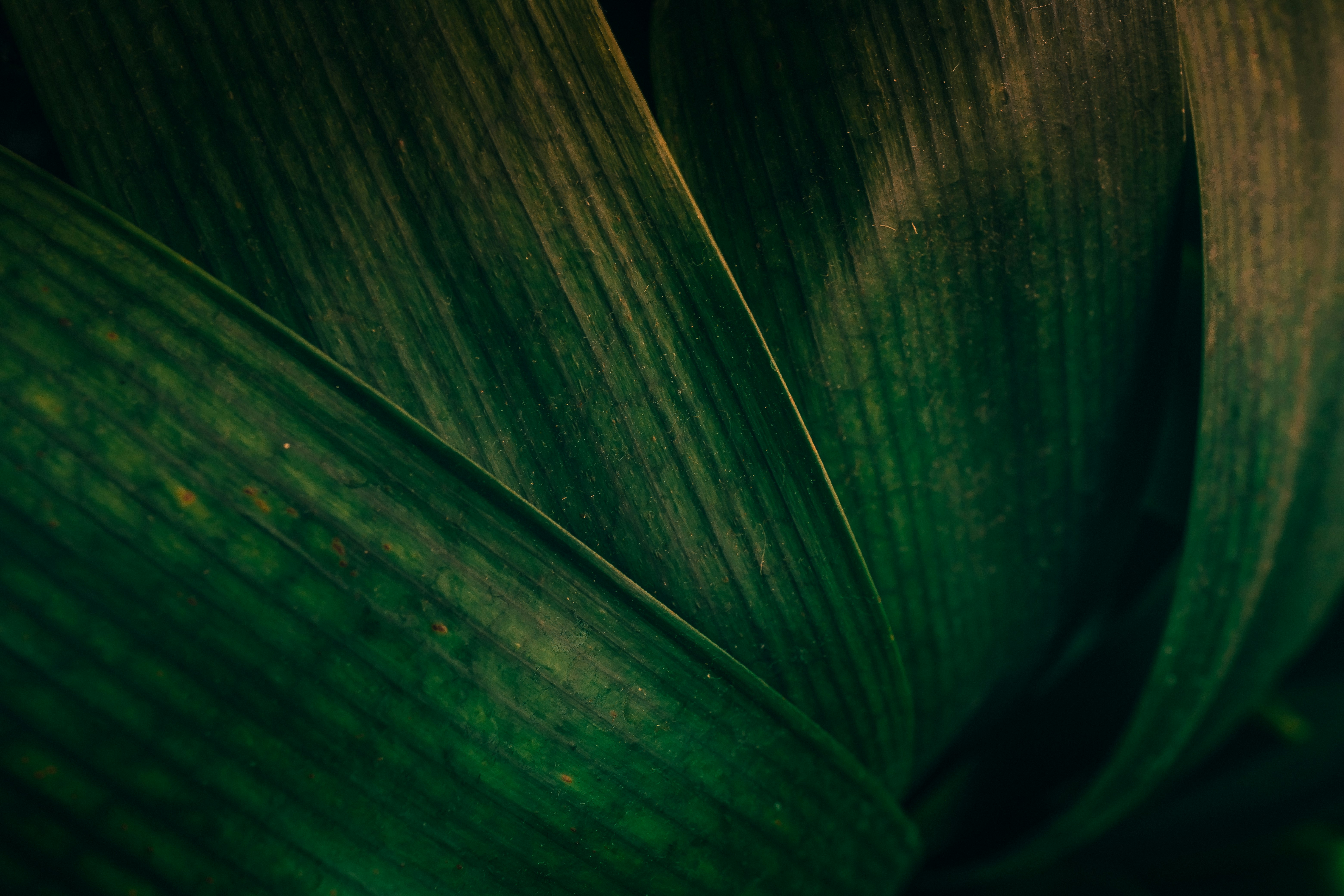 Photo by jackjackhan