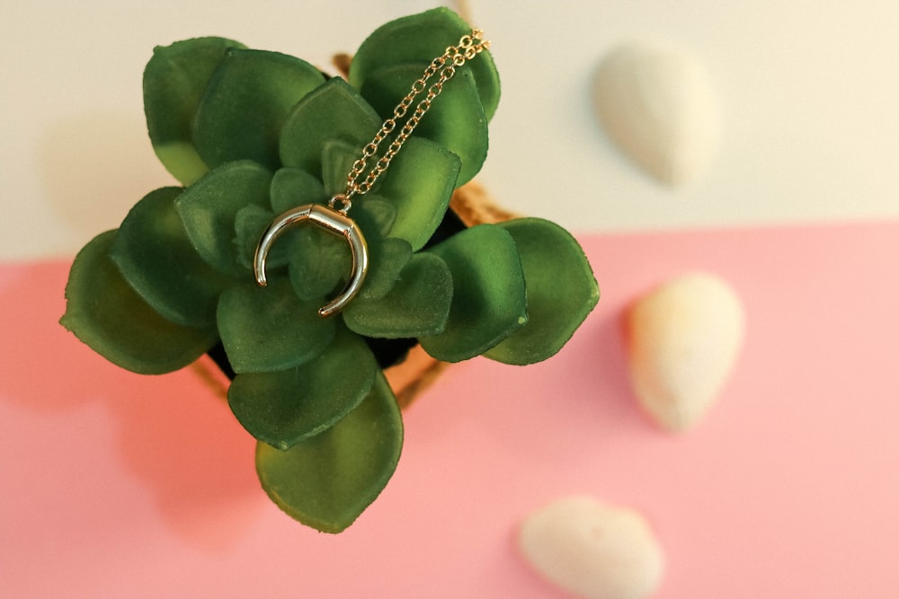 gold ring on green plant