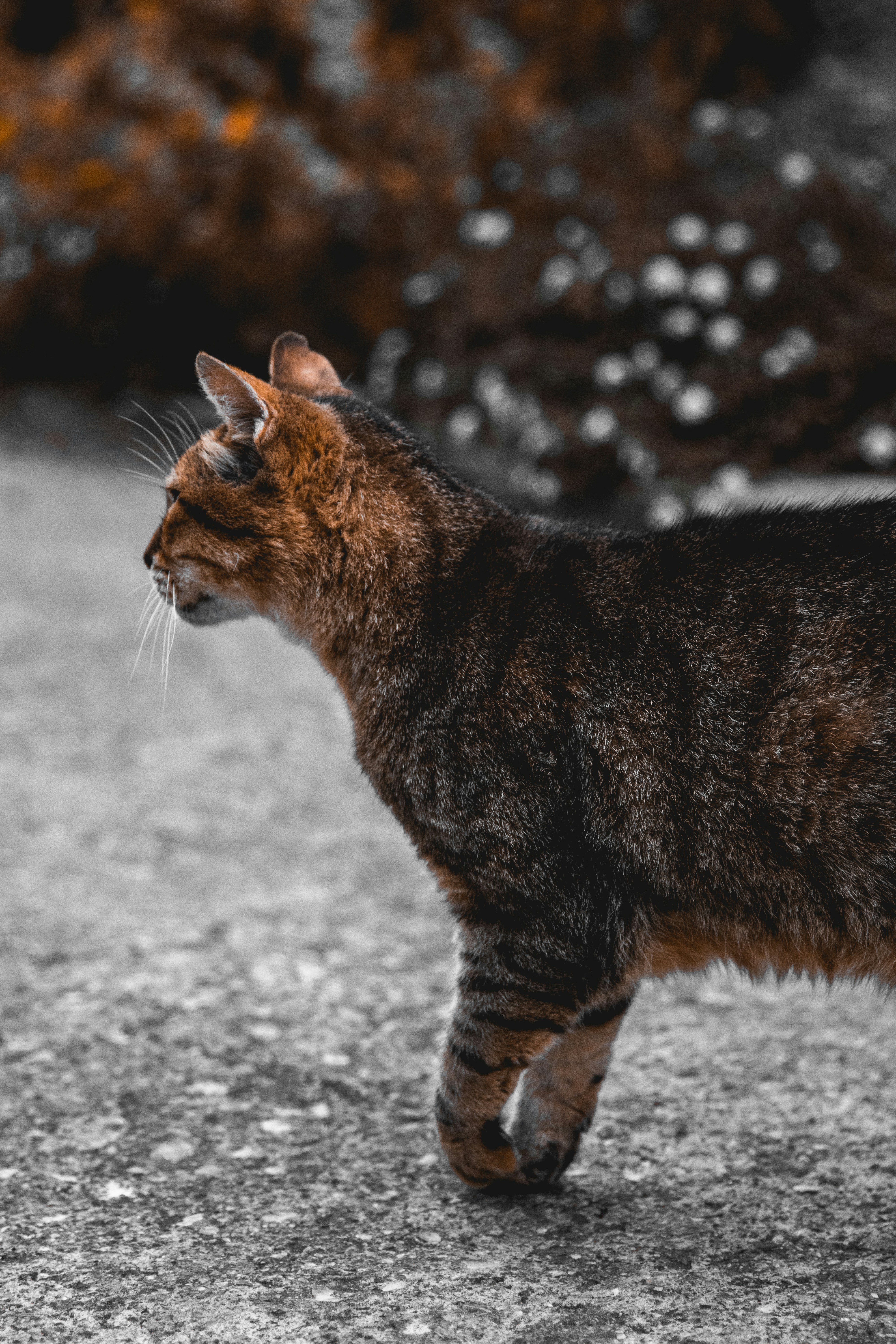Photo by lagommedia