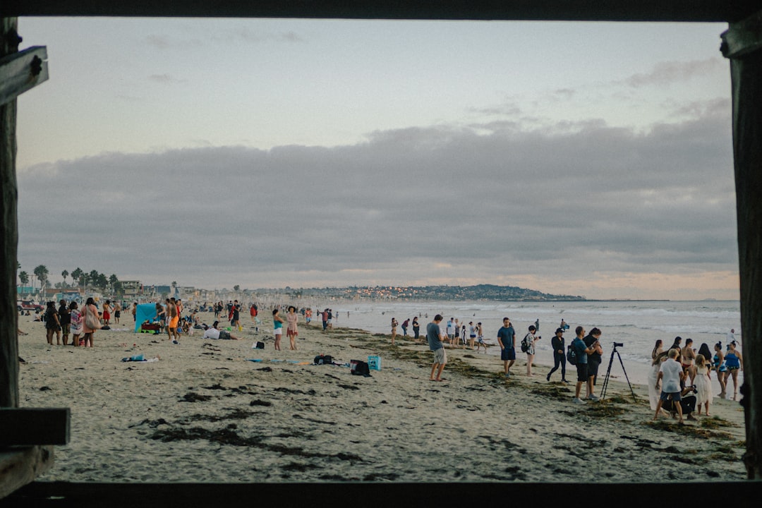 people on beach during daytime