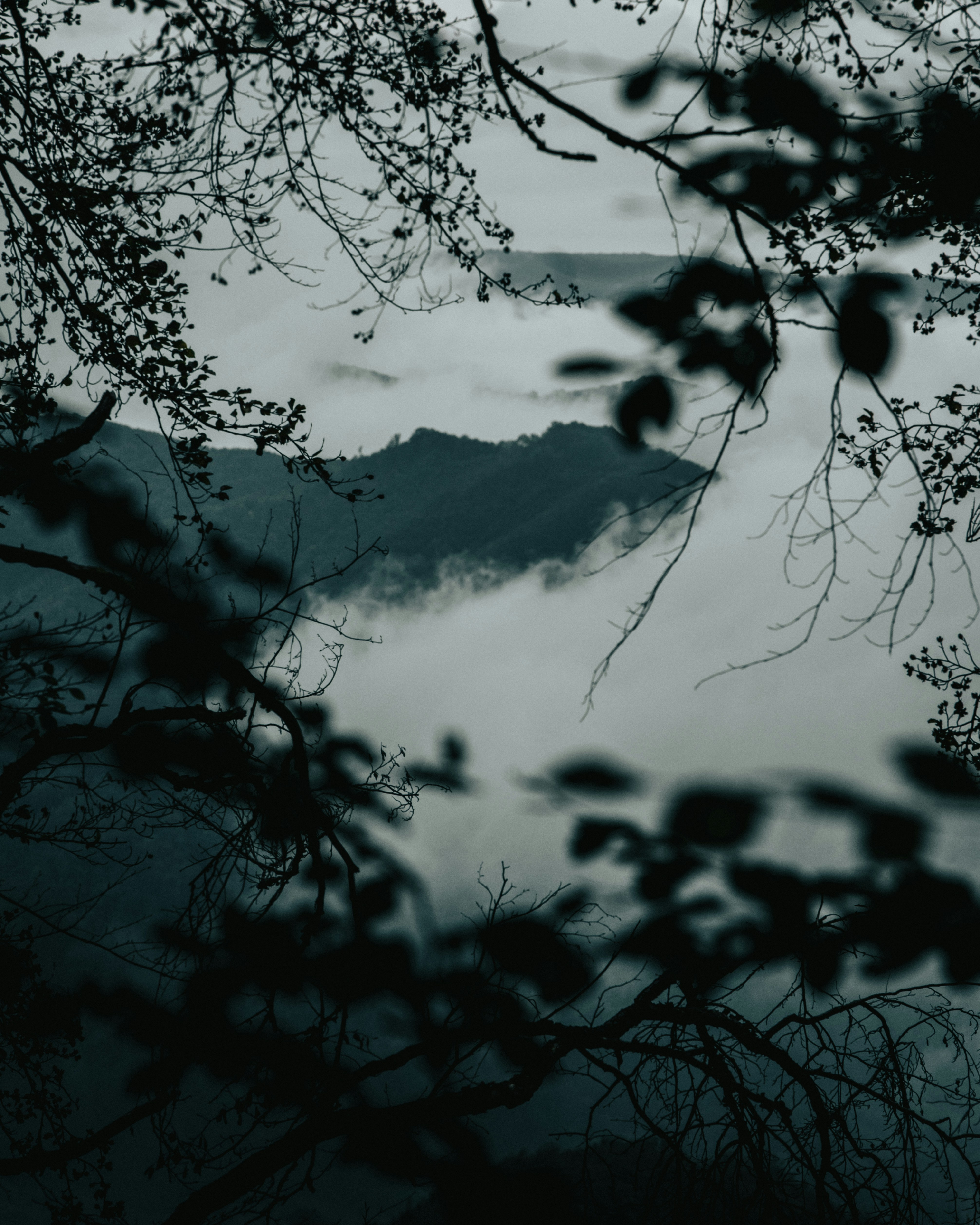 Photo by tamas_tuzeskatai