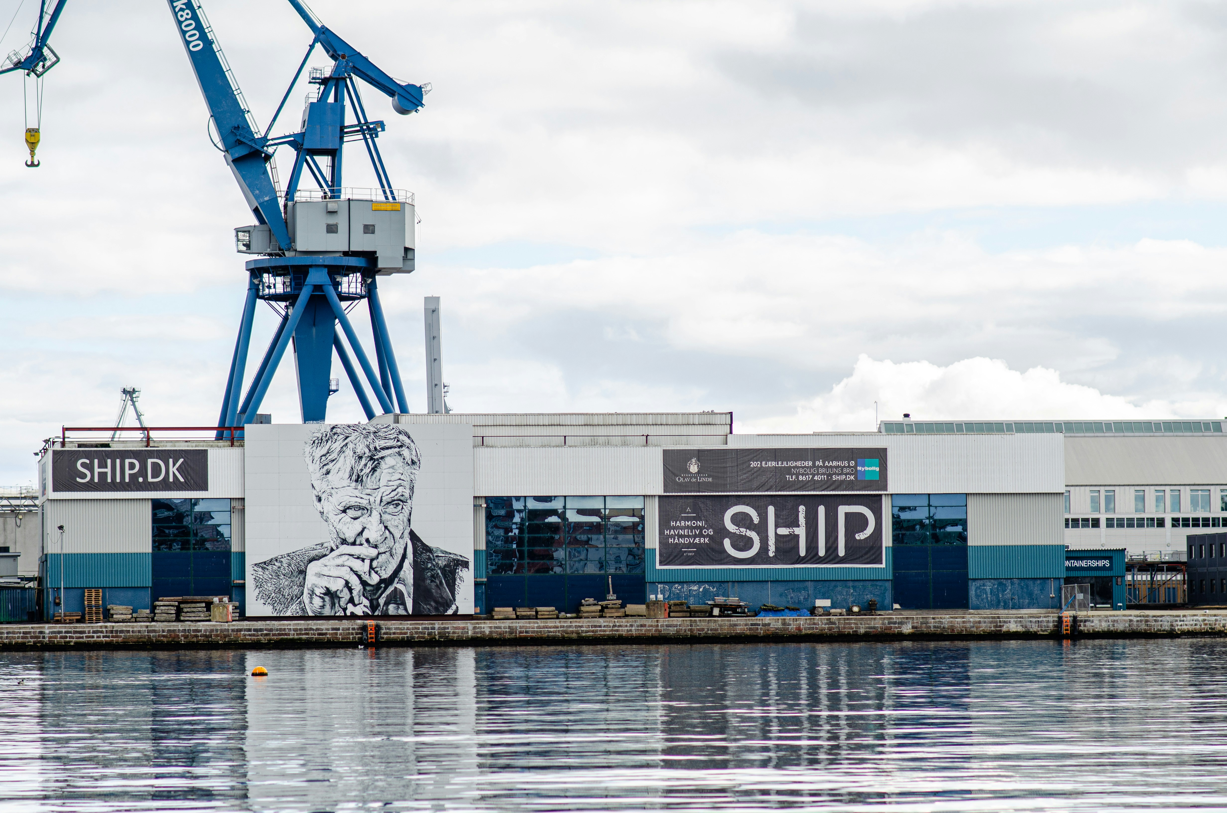 Explore the Rich Viking Heritage