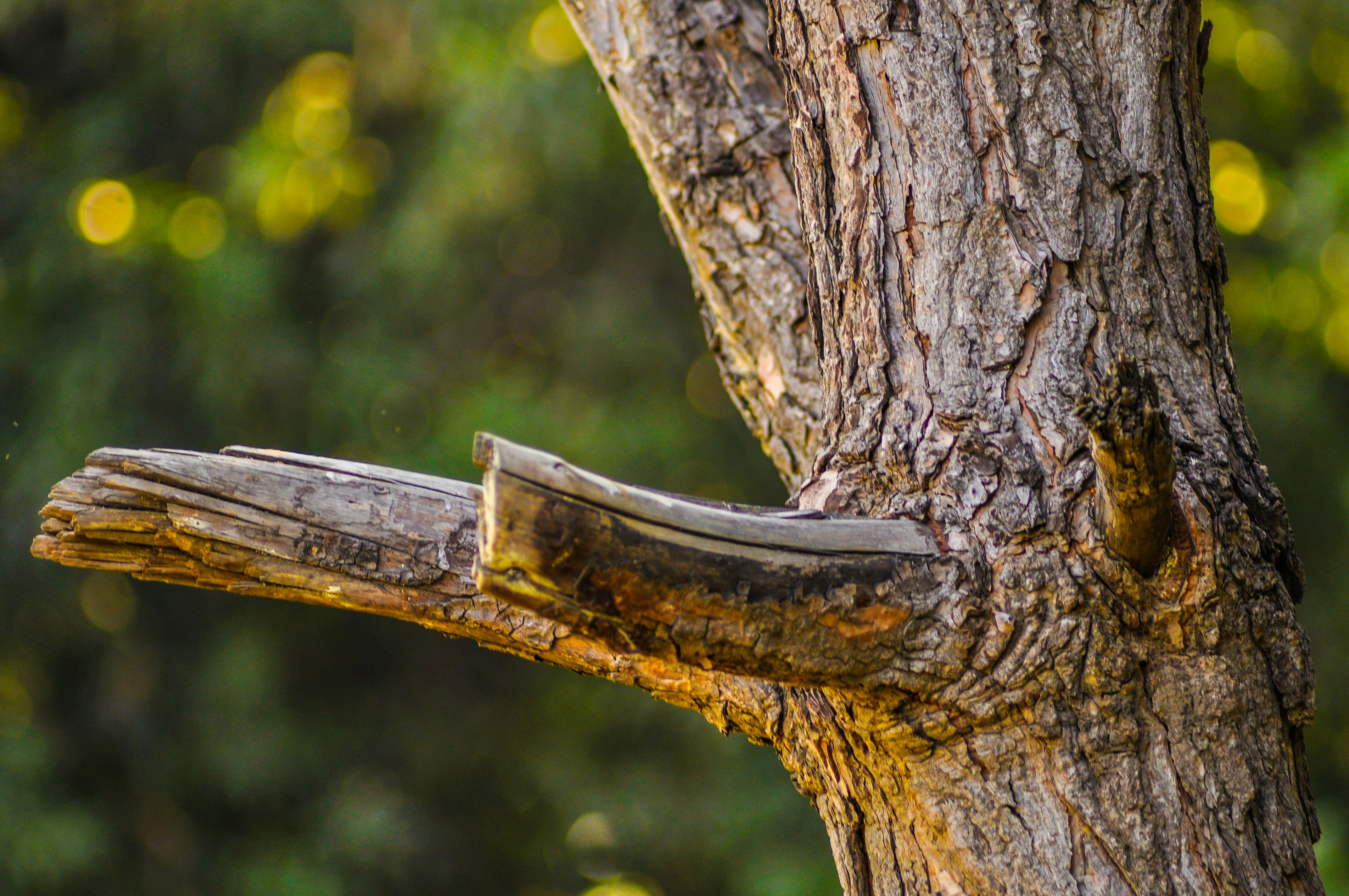 Photo by aryanghauri2020