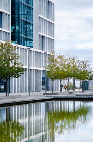 green trees beside body of water during daytime