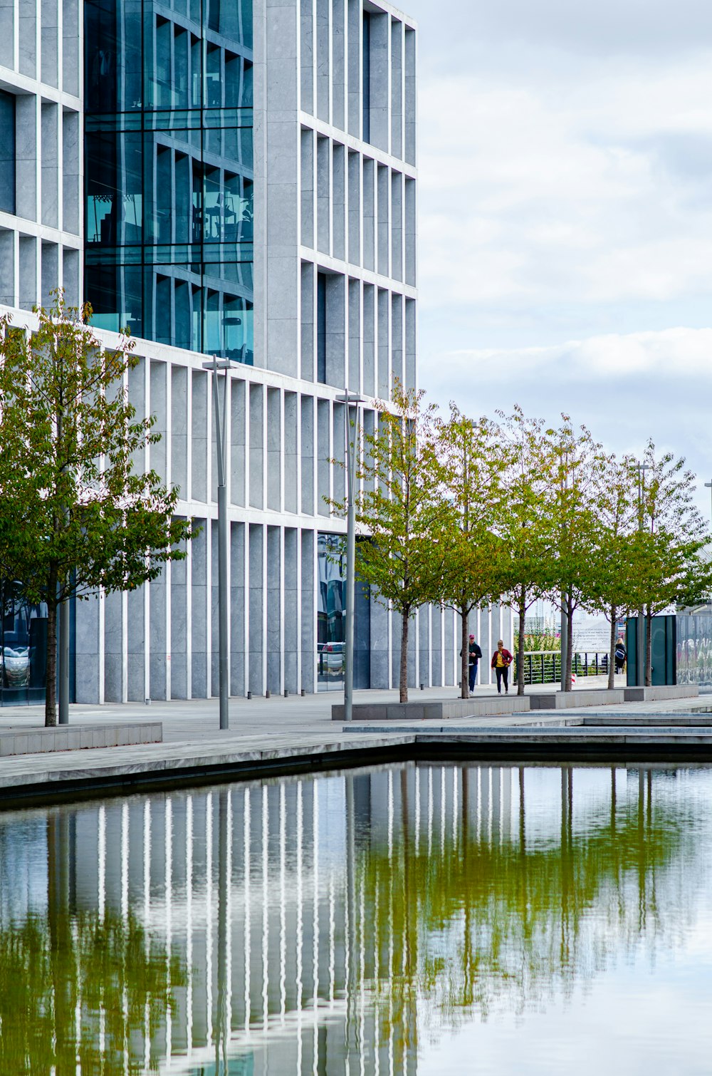 green trees beside body of water during daytime