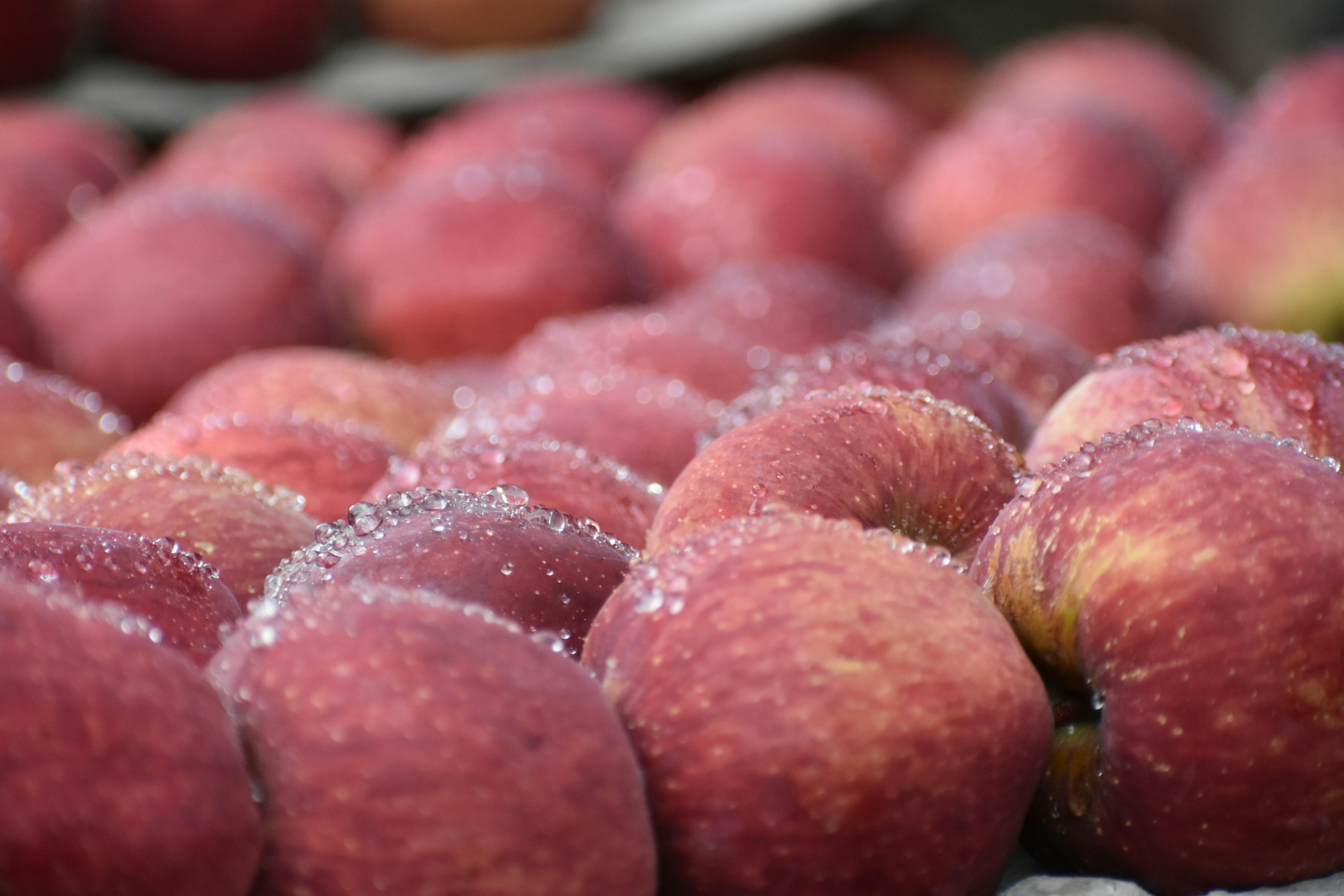 Fresh Organic Apples