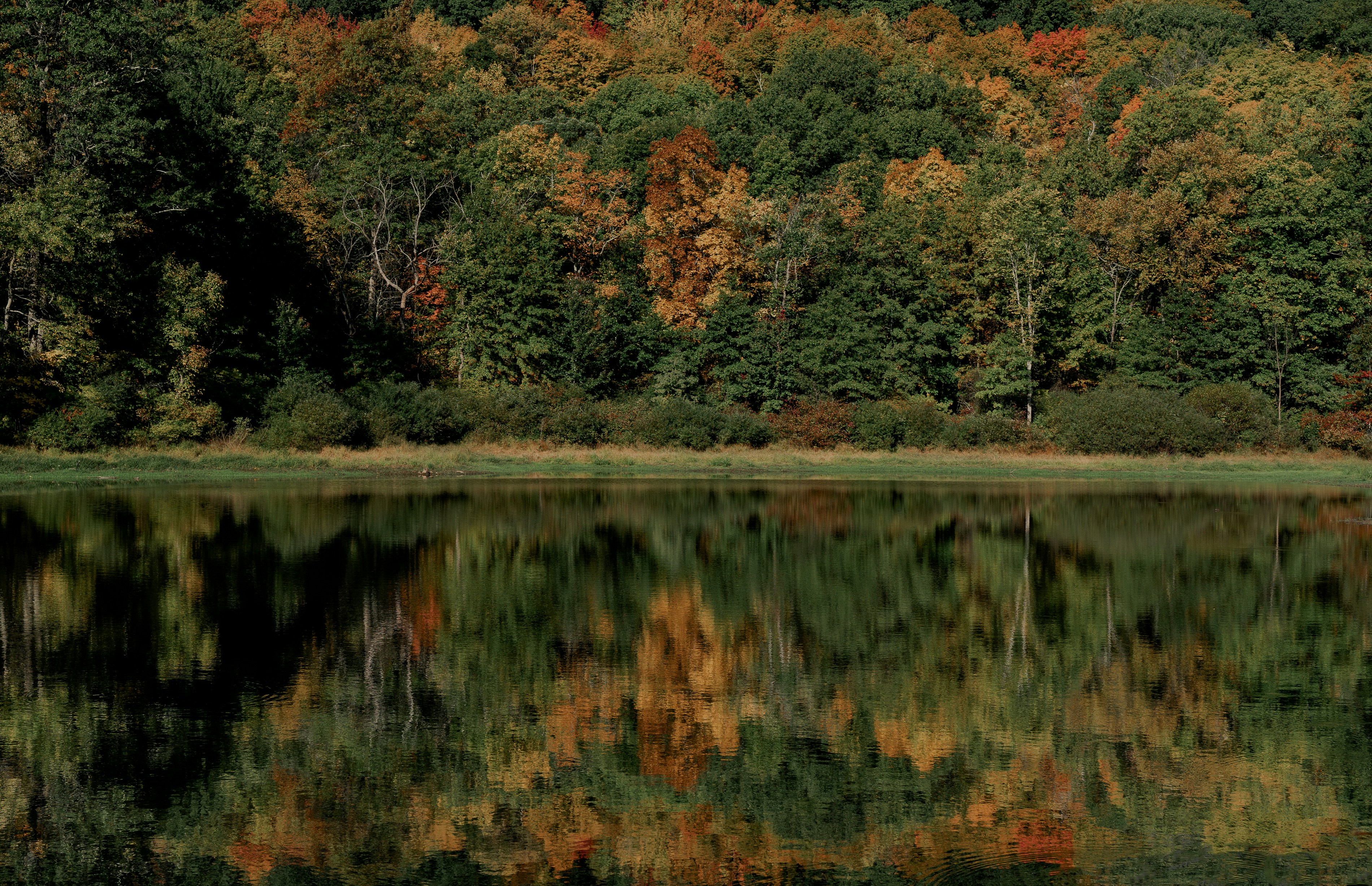 Photo by claybanks