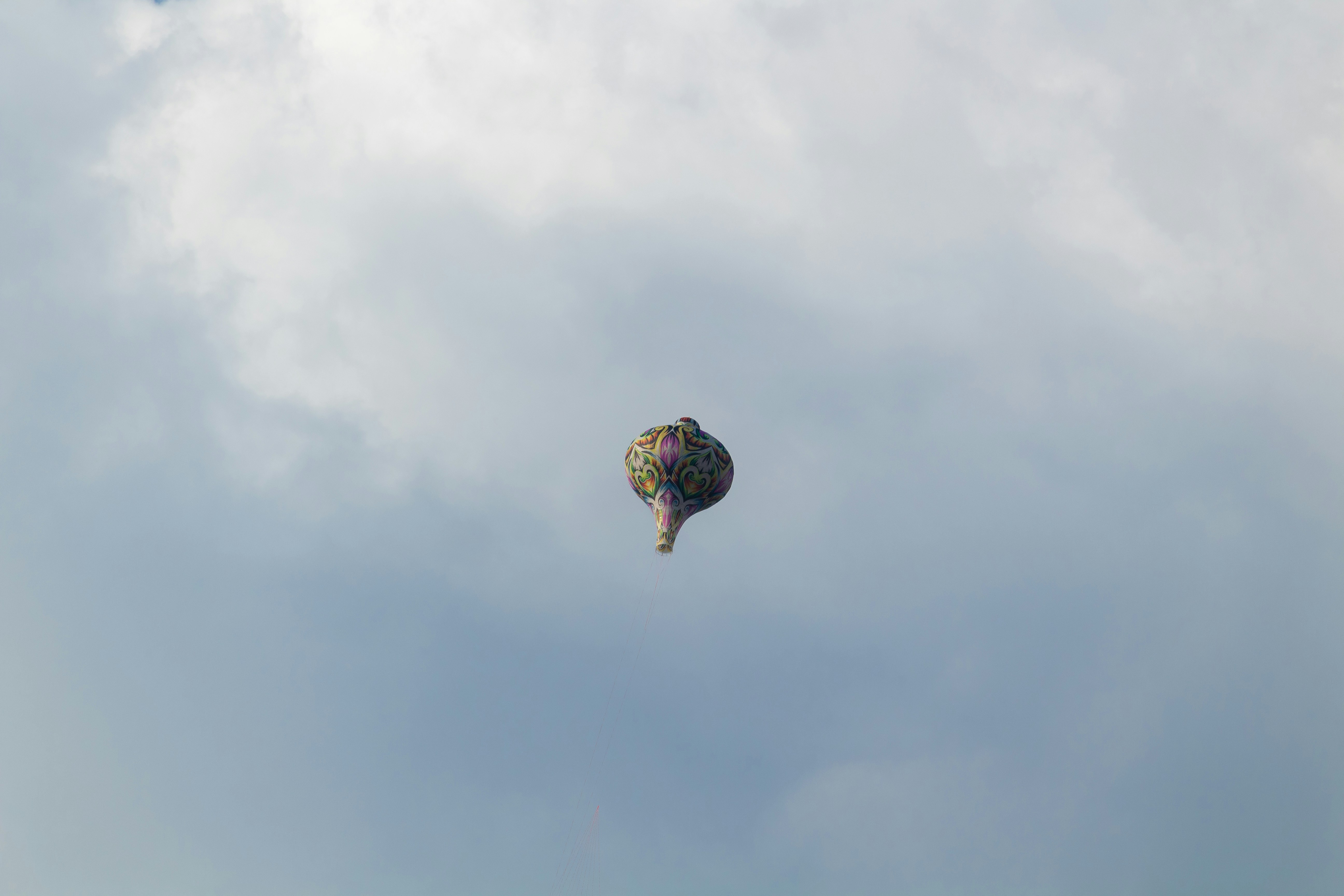 Photo by leticia_rreis