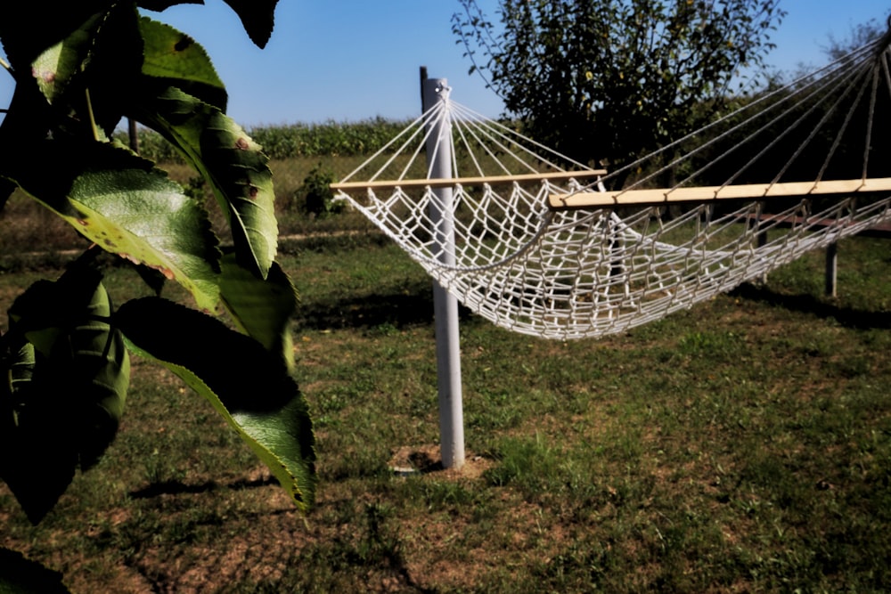 white metal net on green grass field during daytime