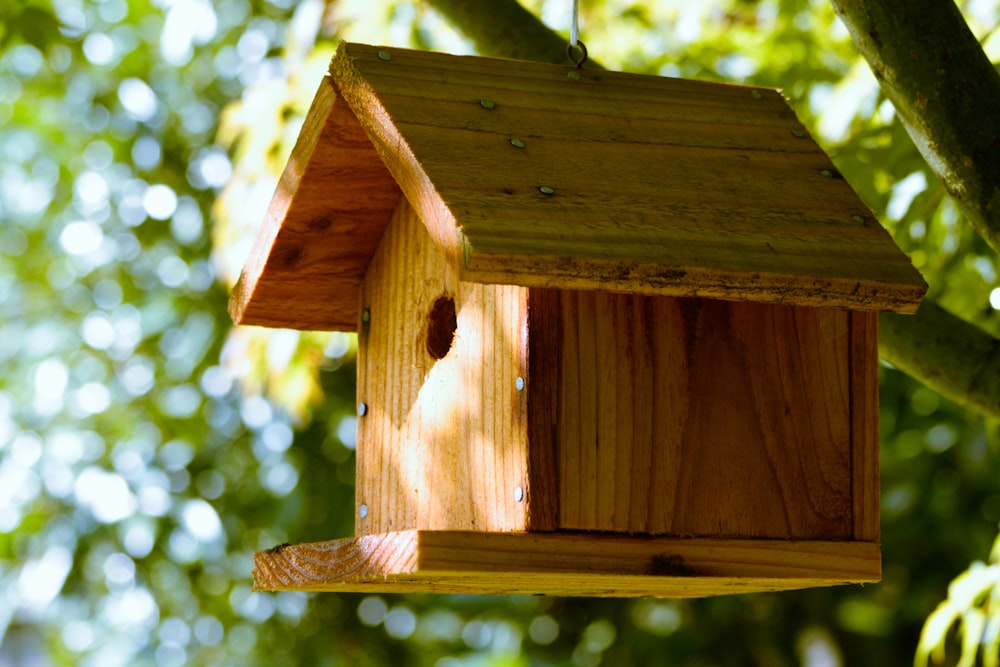 日中の茶色の木造の鳥小屋