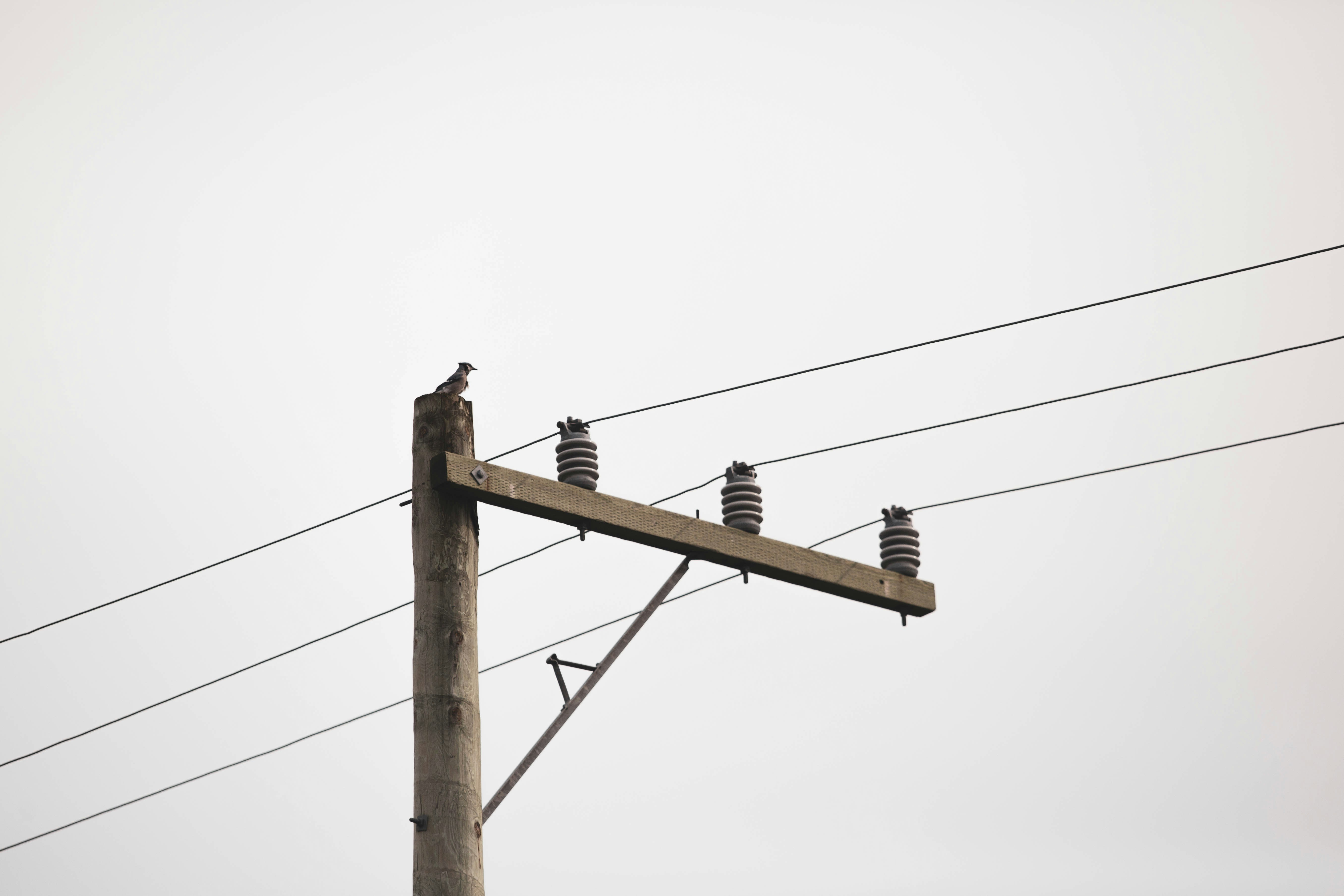 Photo by theshuttervision